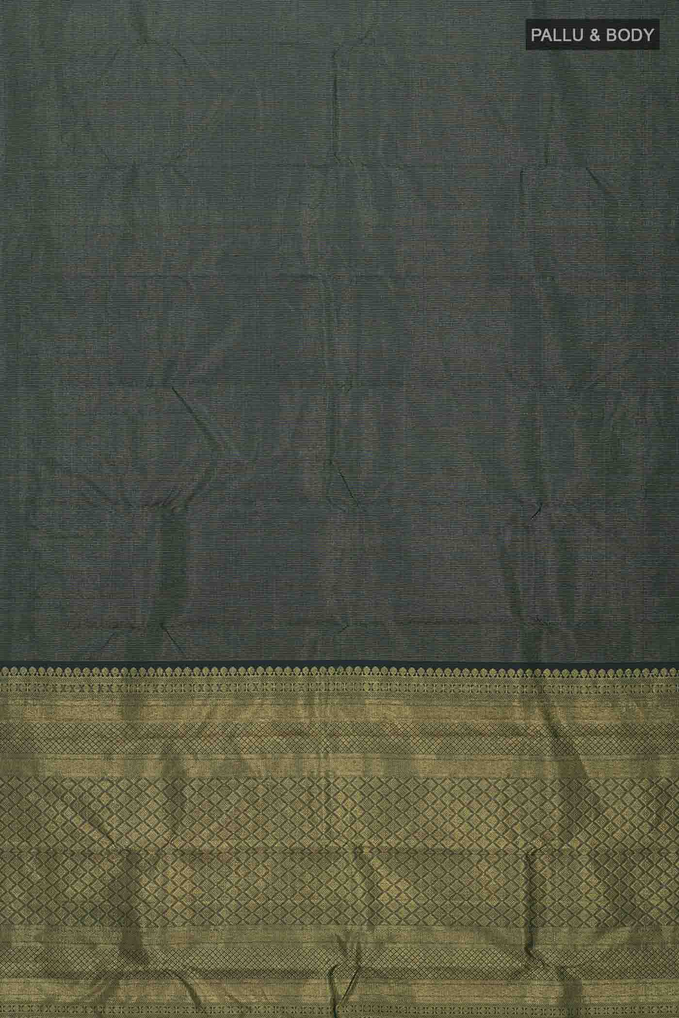 pallu body