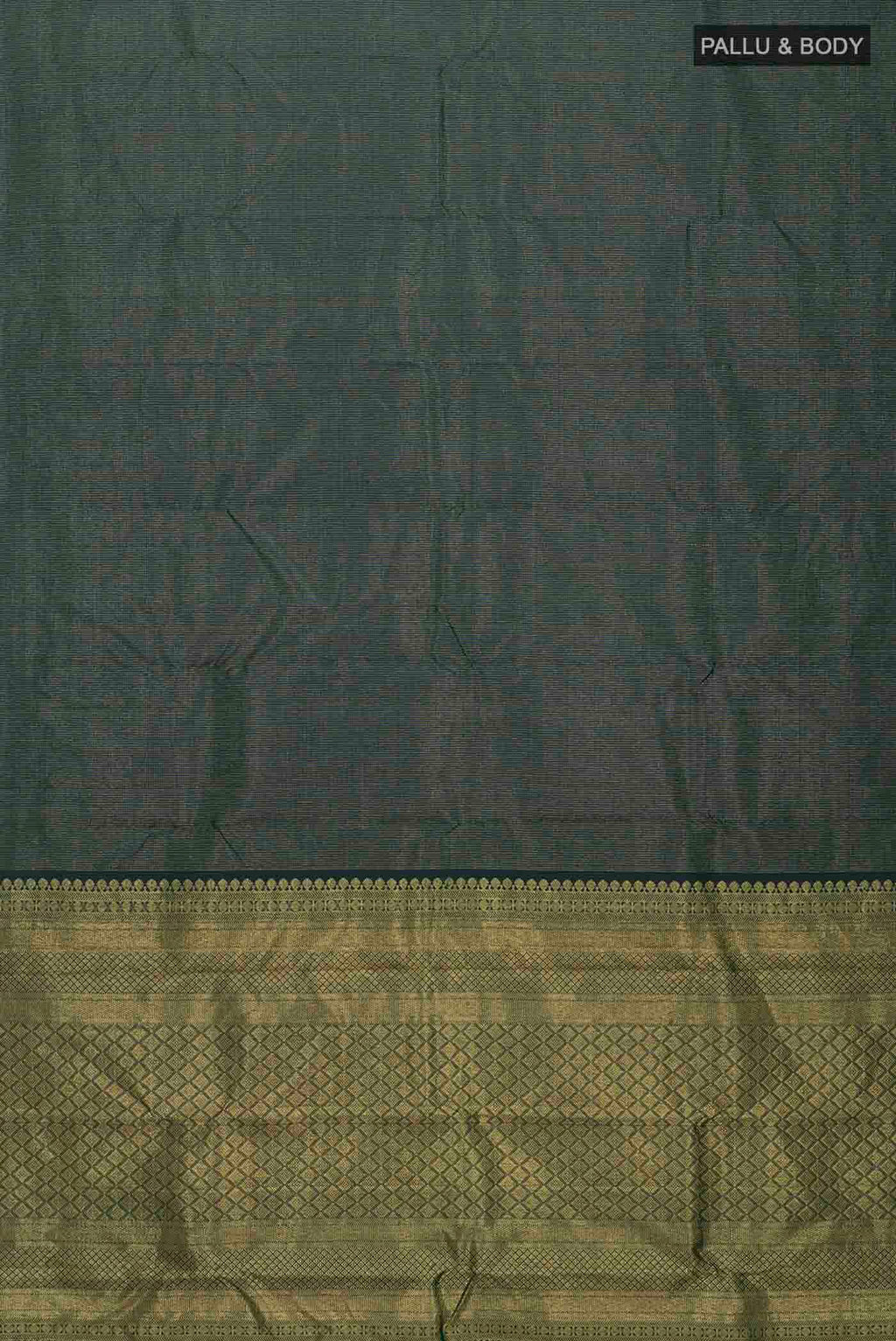 pallu body