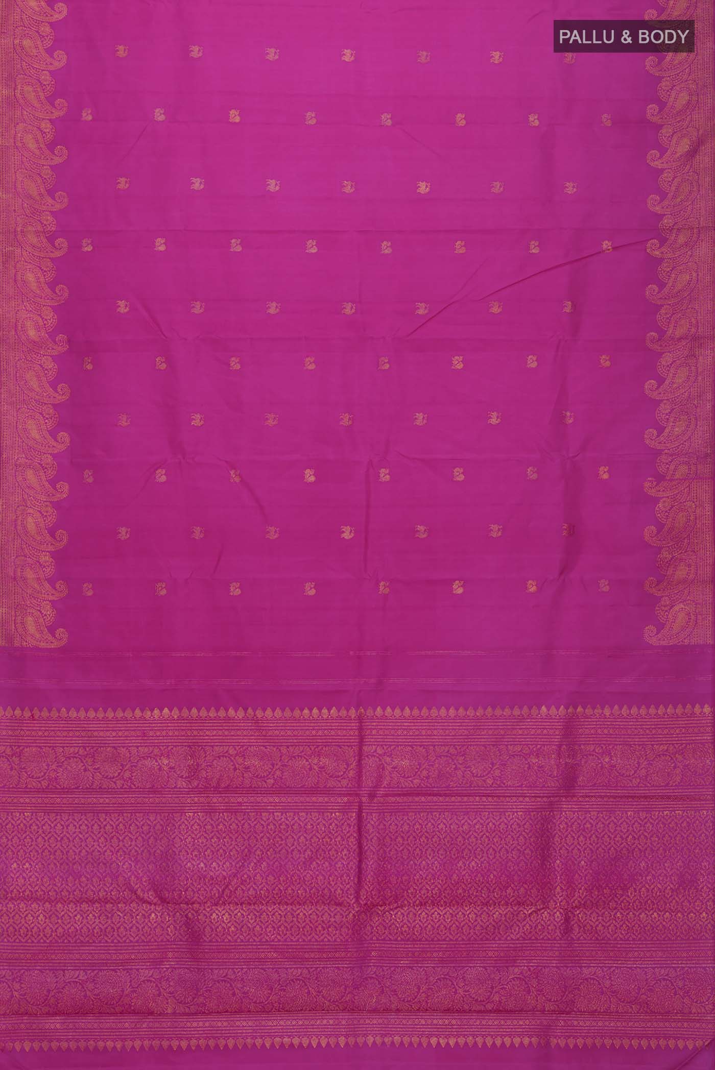 pallu body