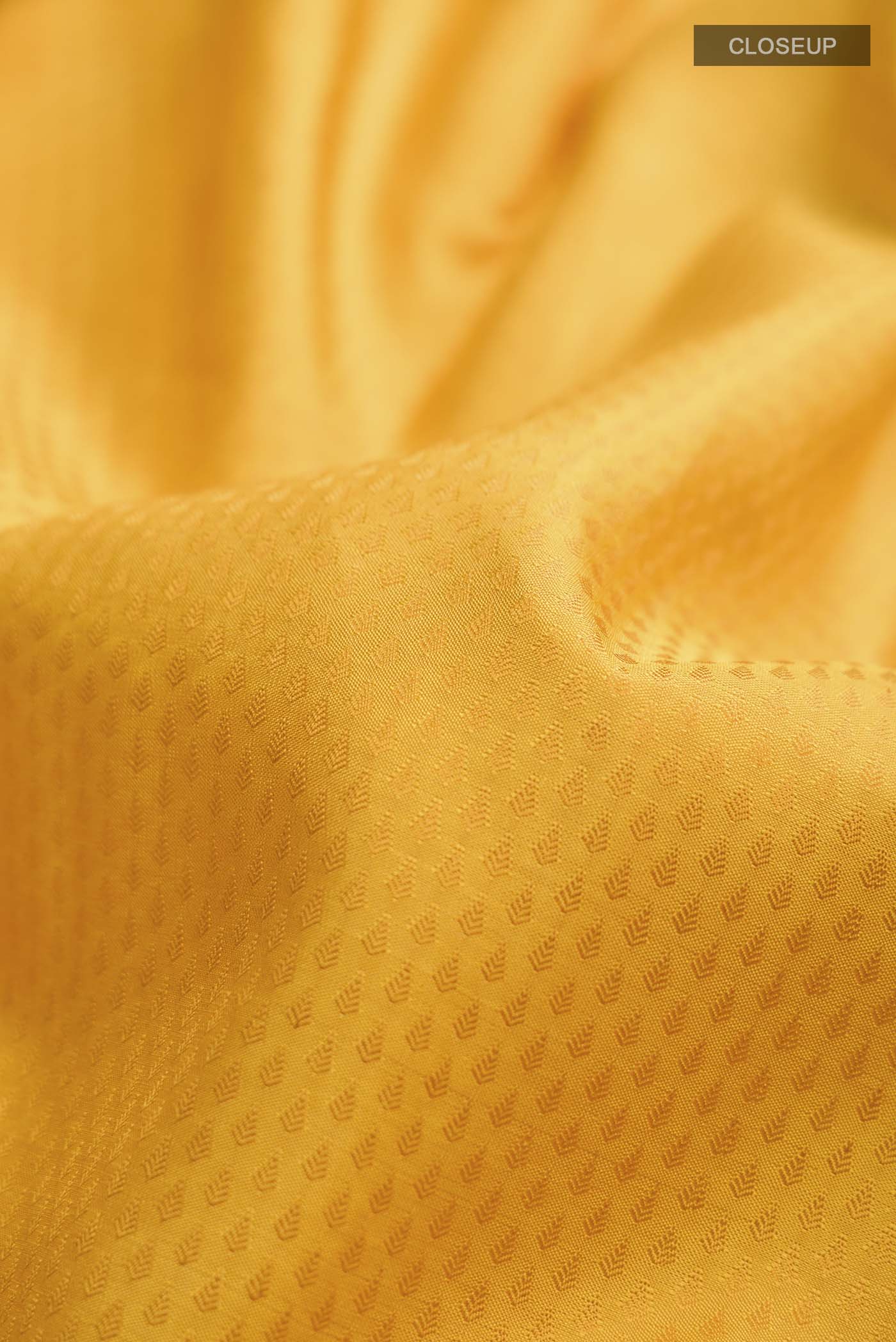 Close up of Yellow Kanchipuram Silk Saree with Jacquard design on the body and Zari Border displaying folds