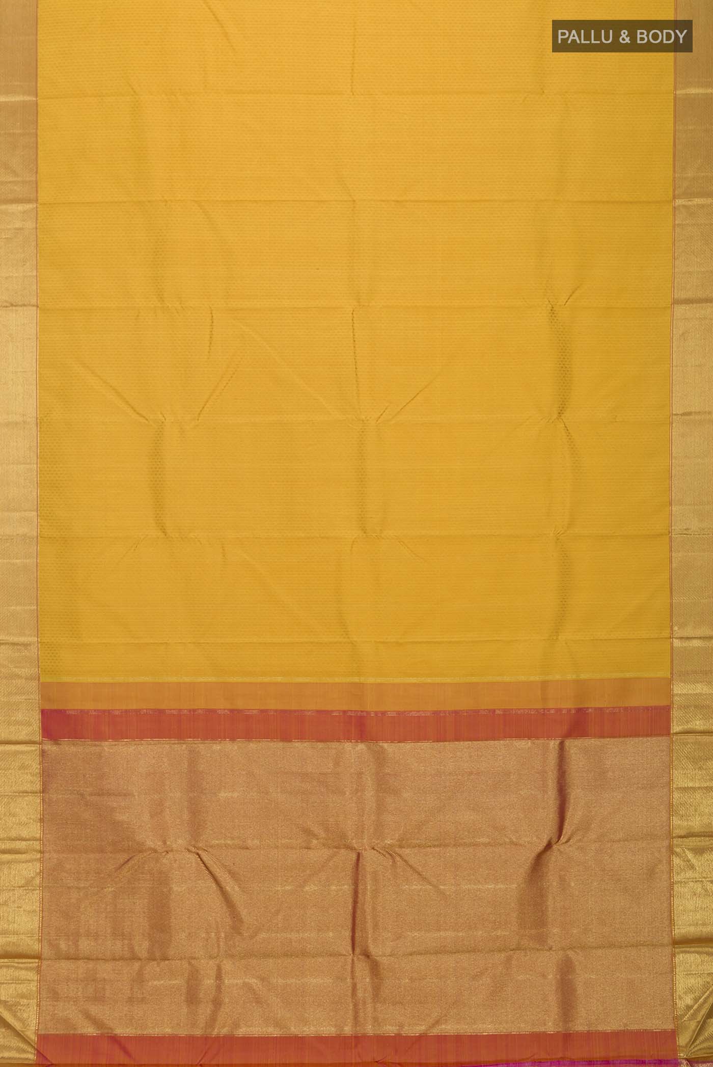 pallu body