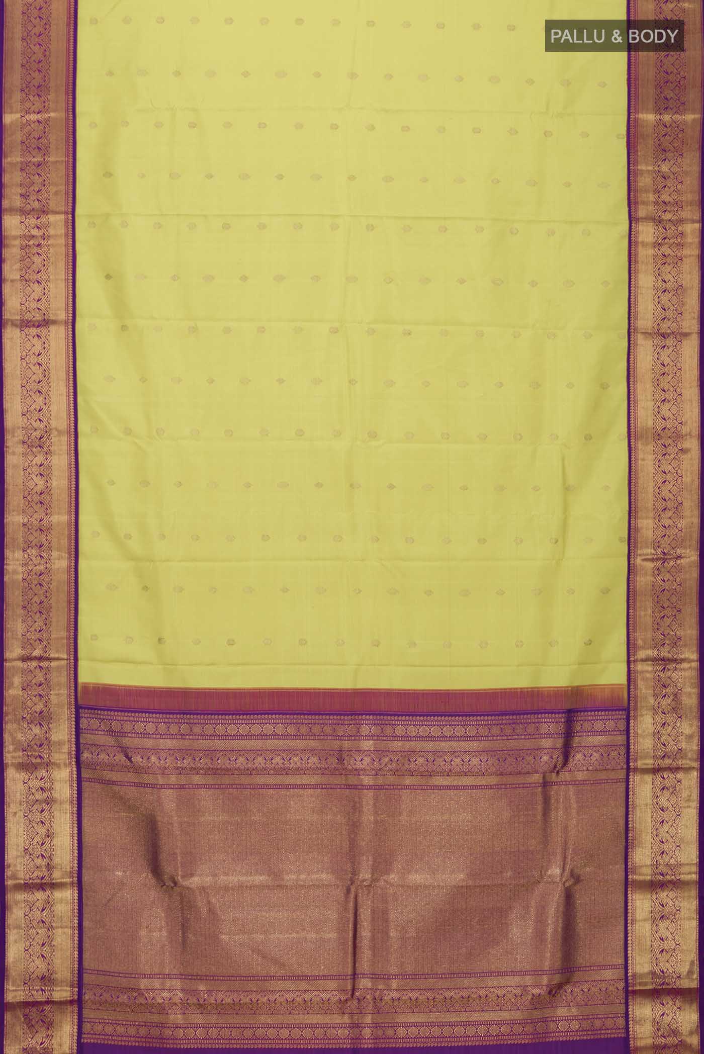 pallu body