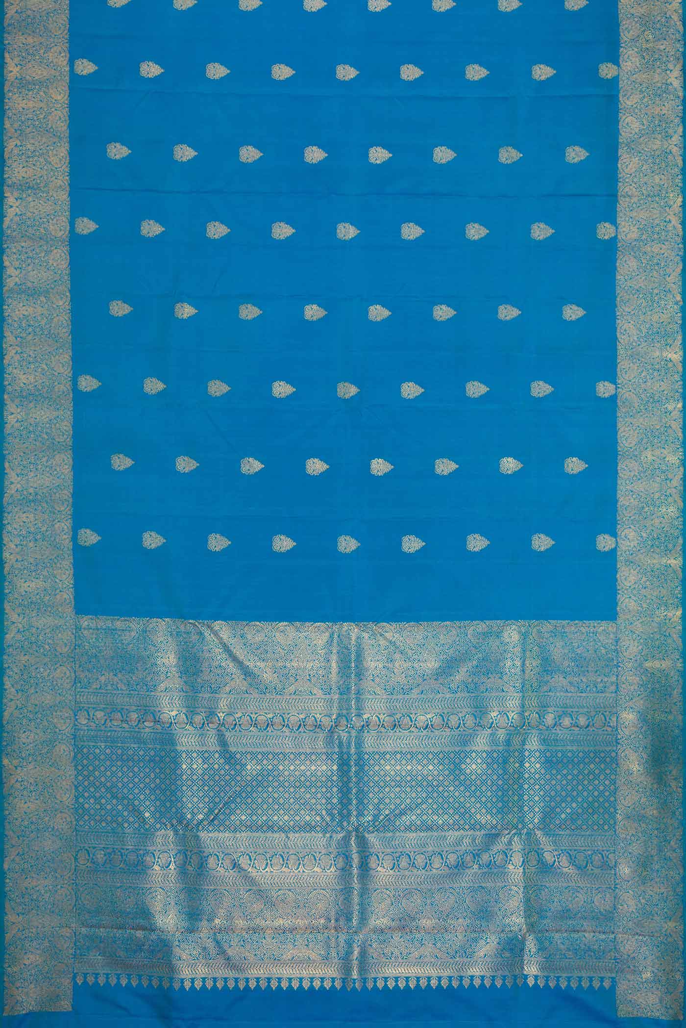pallu body