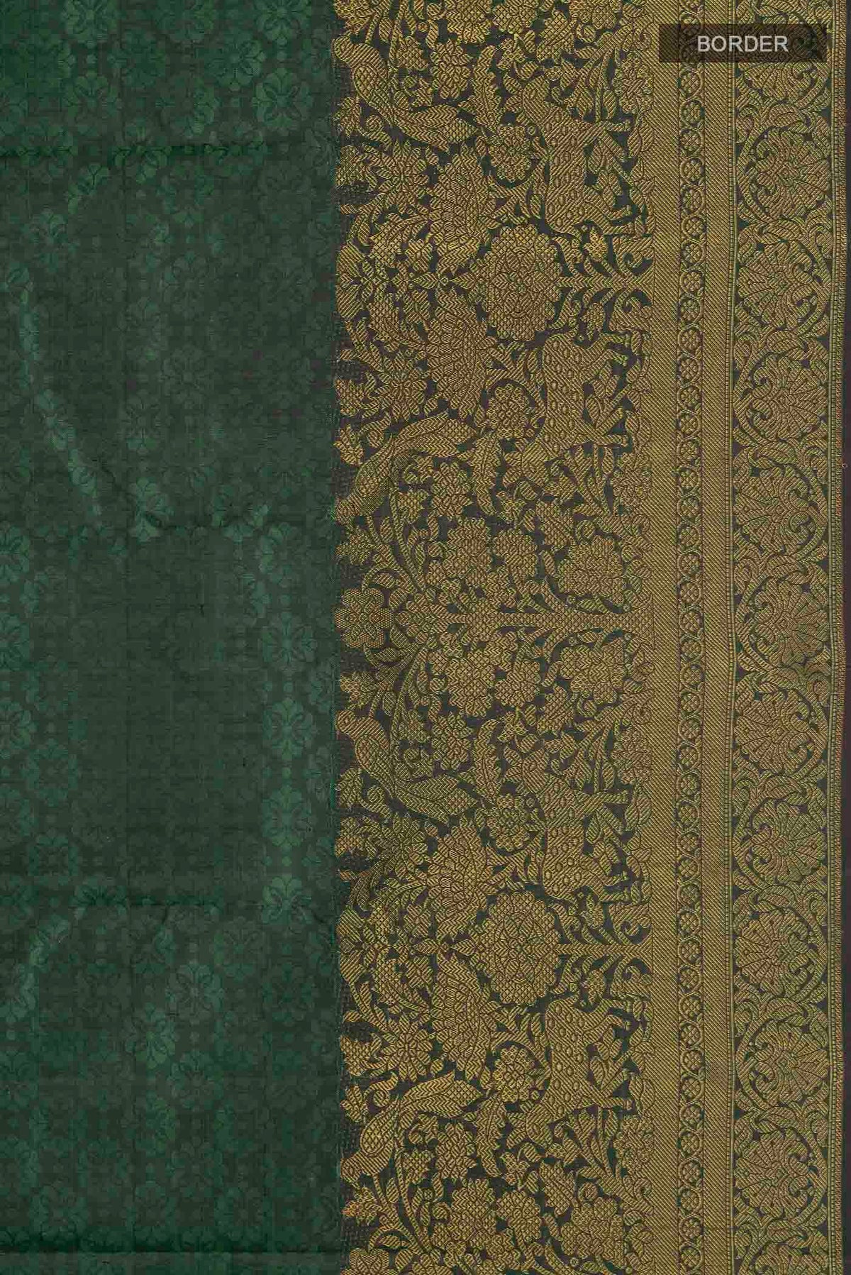 Border image of Green Kanchipuram Silk Saree with Jacquard design on the body and Zari Border