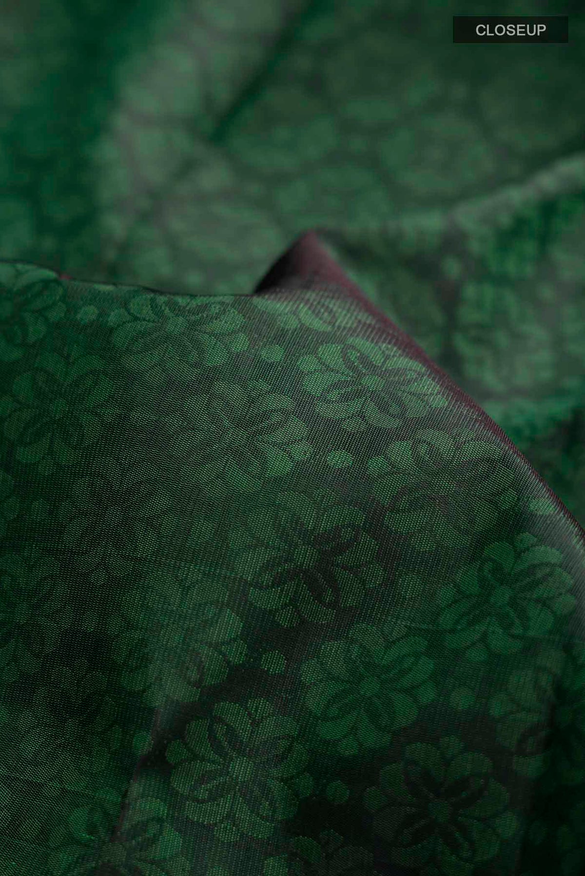Close up of Green Kanchipuram Silk Saree with Jacquard design on the body and Zari Border displaying folds