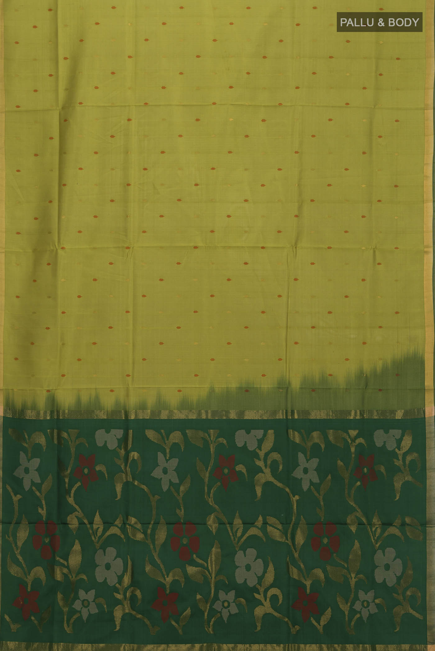 pallu body