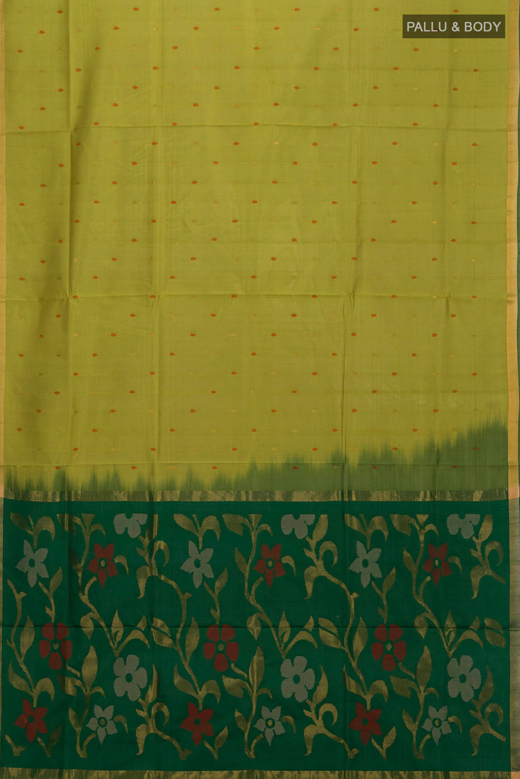 pallu body