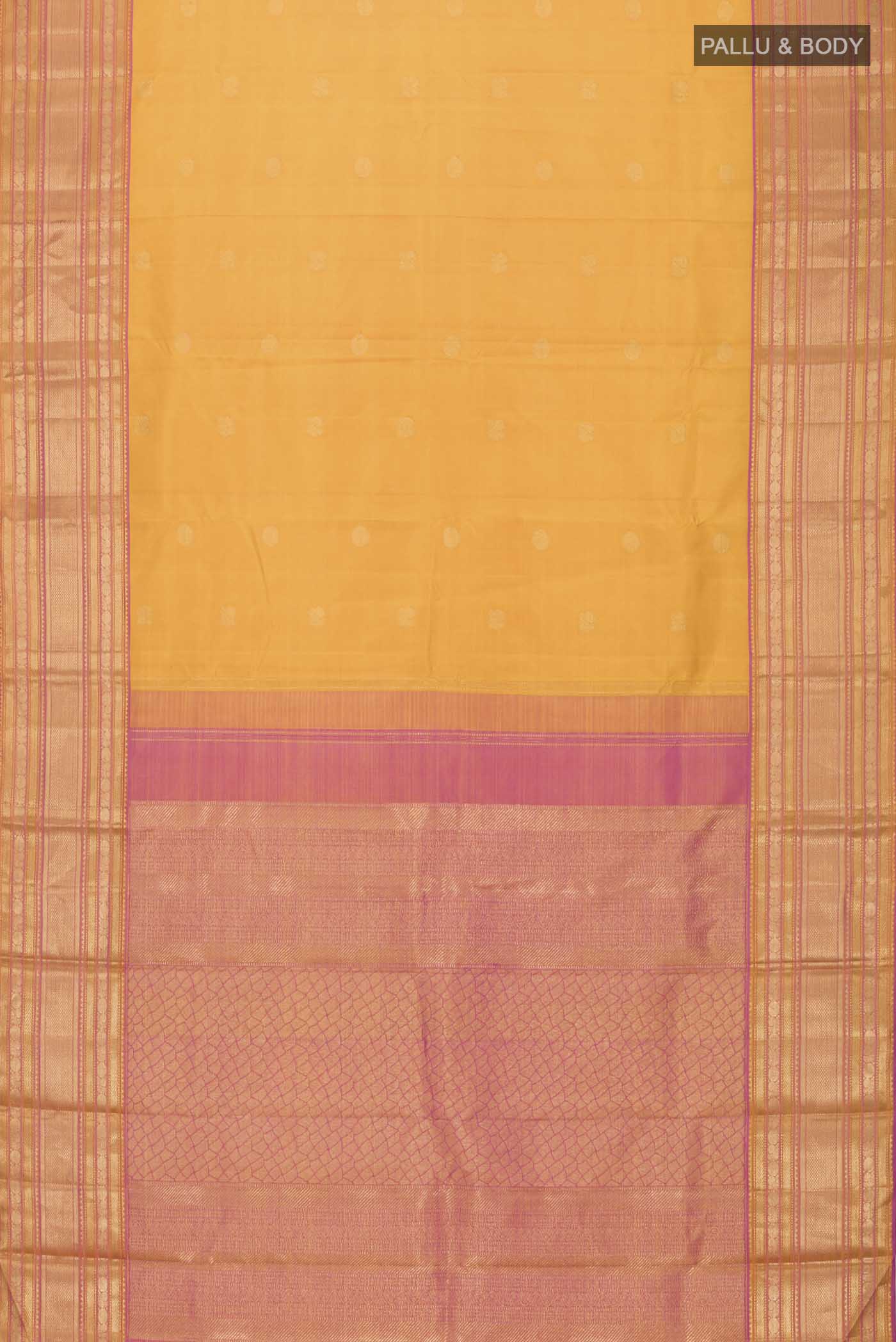 pallu body