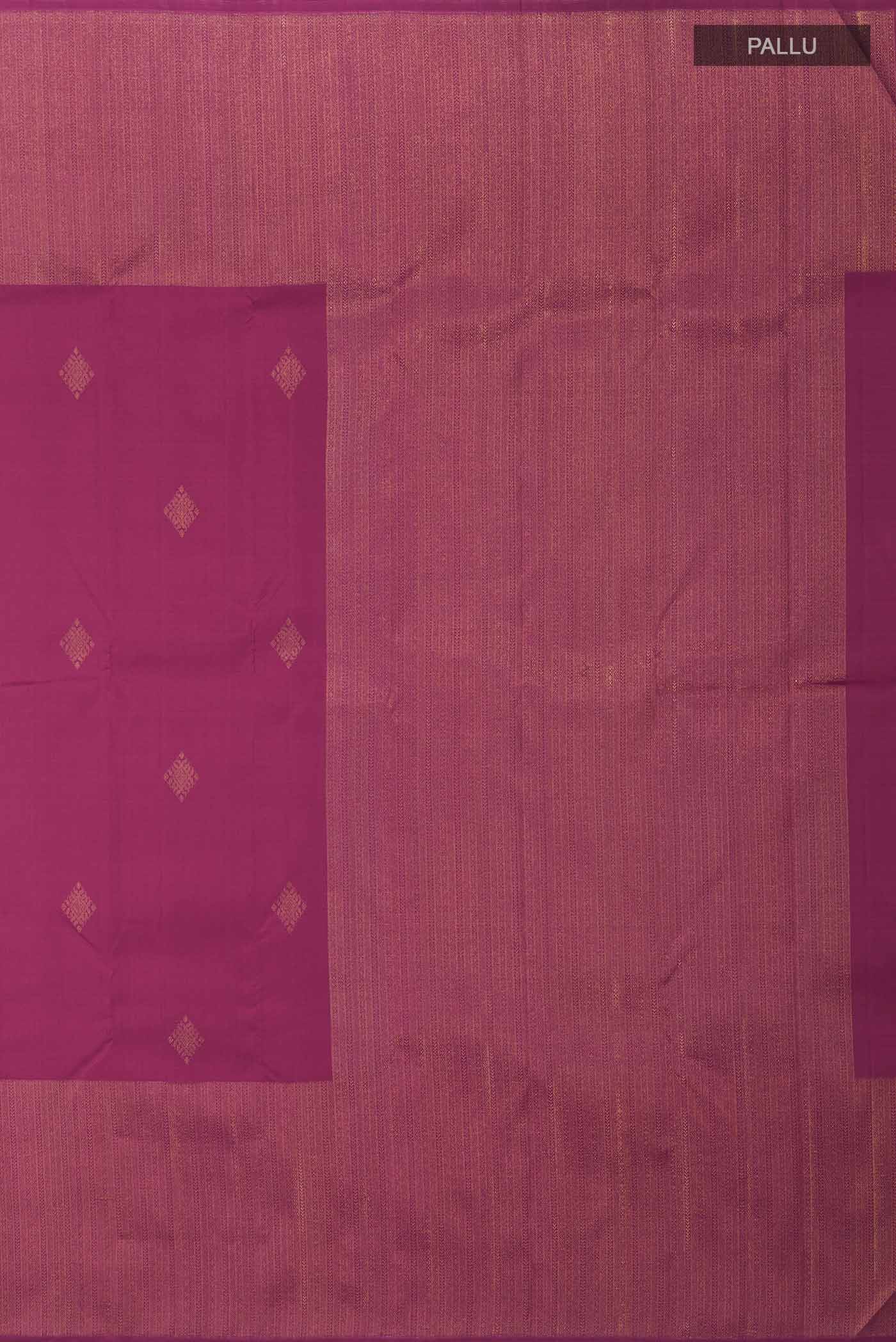 pallu_closeup