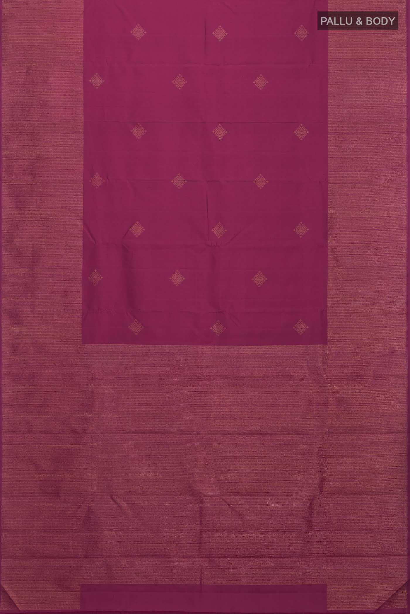 pallu body