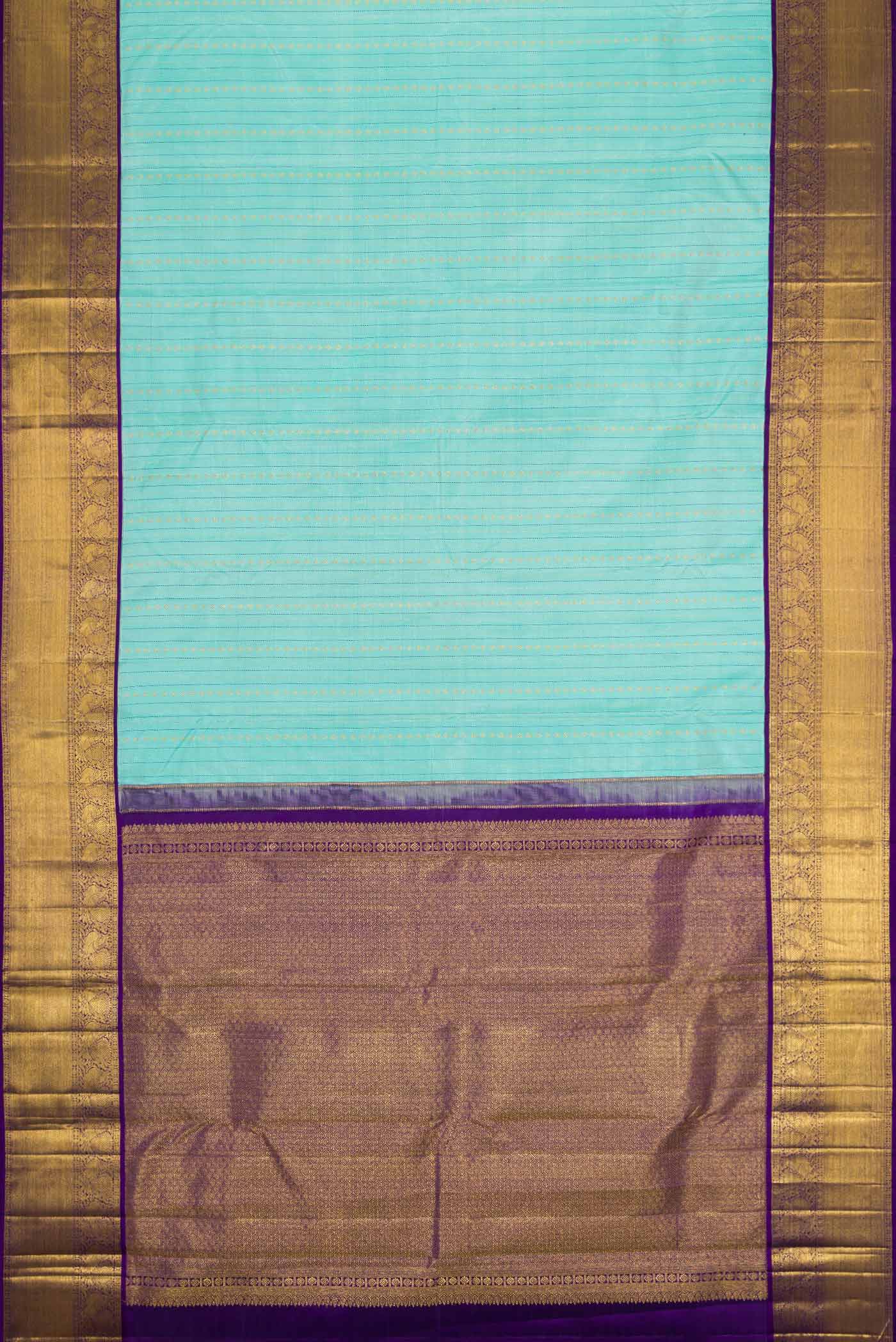 pallu body