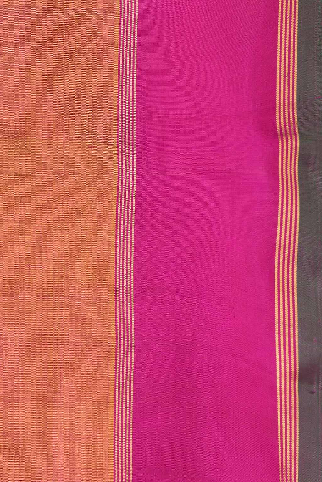 Border image of Mustard Dual Tone Kanchipuram Silk Saree with Zari Butta on the body and Zari Border. 