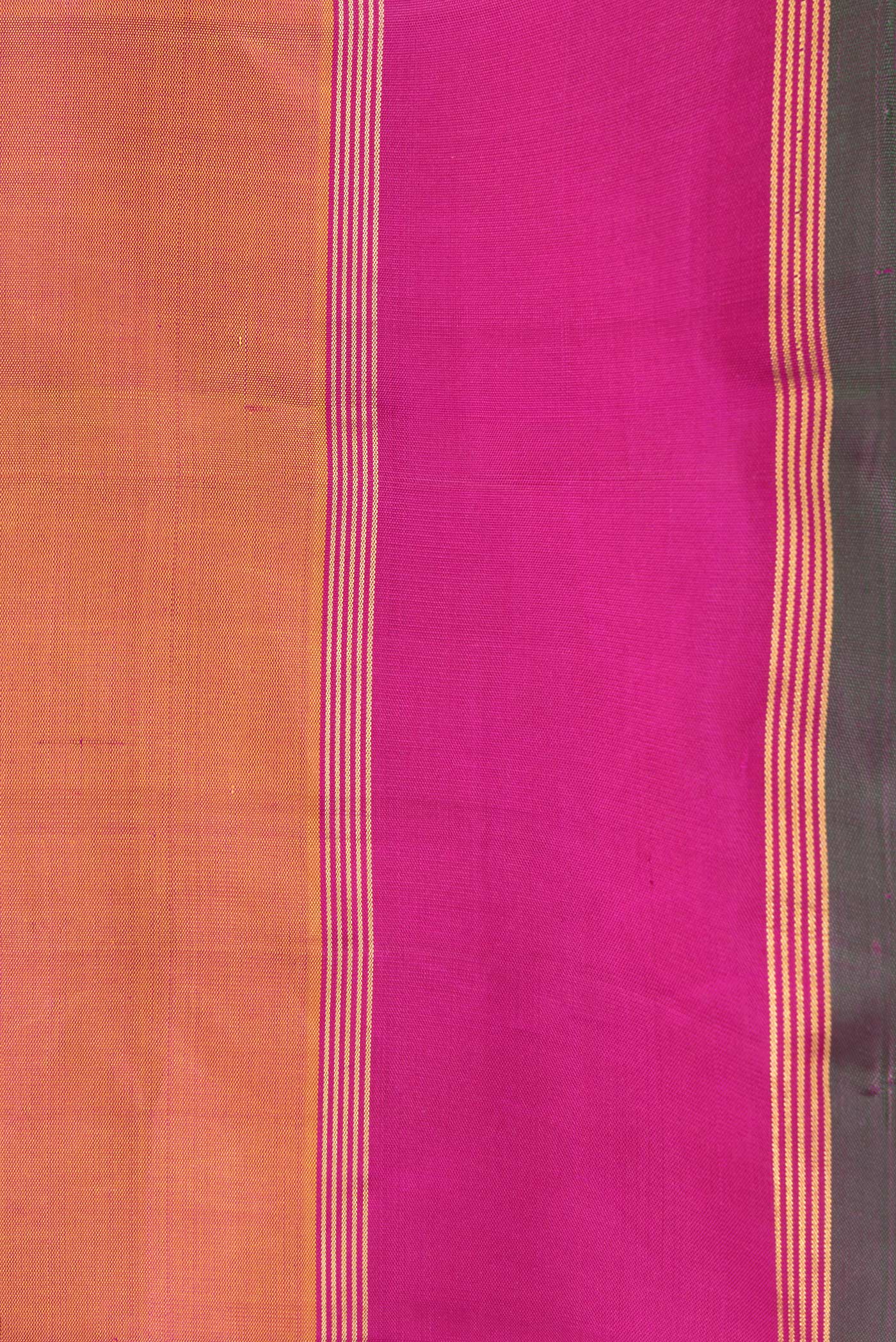 Border image of Mustard Dual Tone Kanchipuram Silk Saree with Zari Butta on the body and Zari Border. 