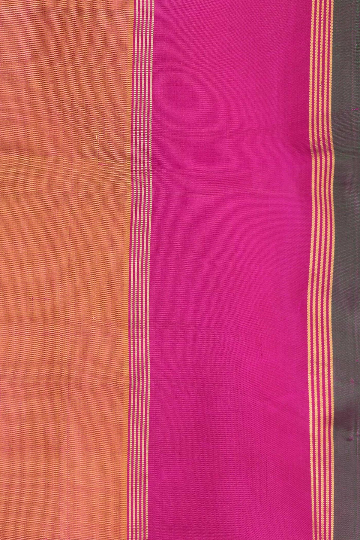 Border image of Mustard Dual Tone Kanchipuram Silk Saree with Zari Butta on the body and Zari Border. 