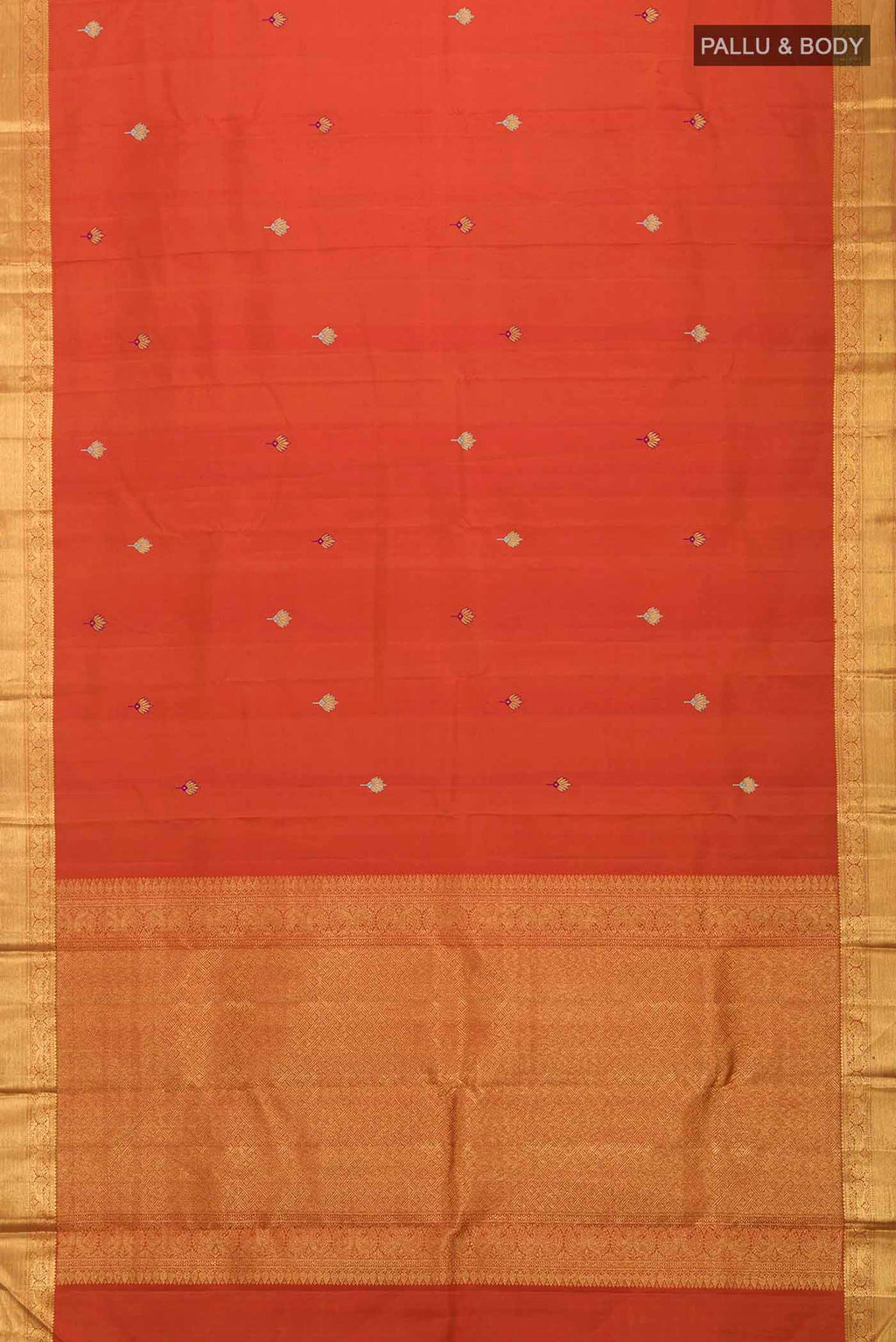 pallu body