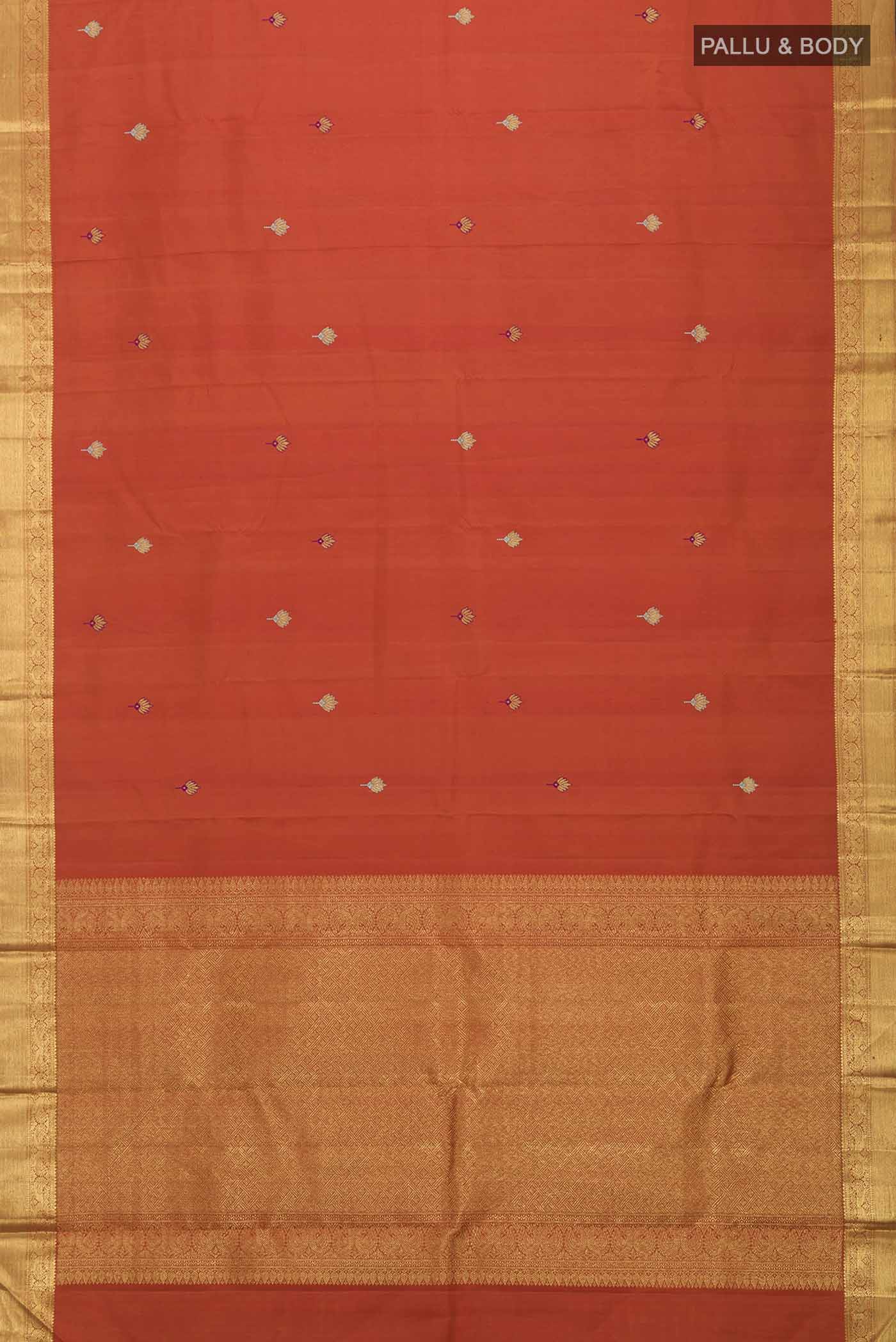pallu body