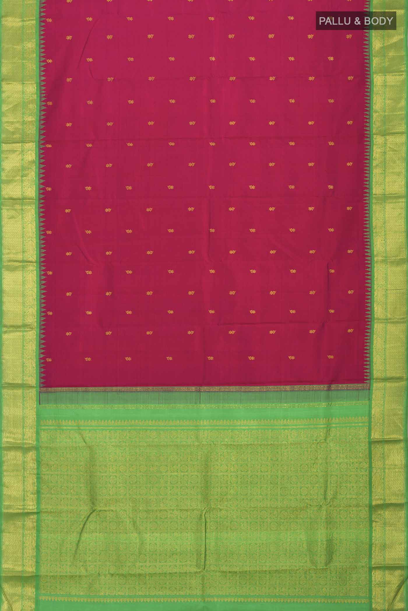 pallu body