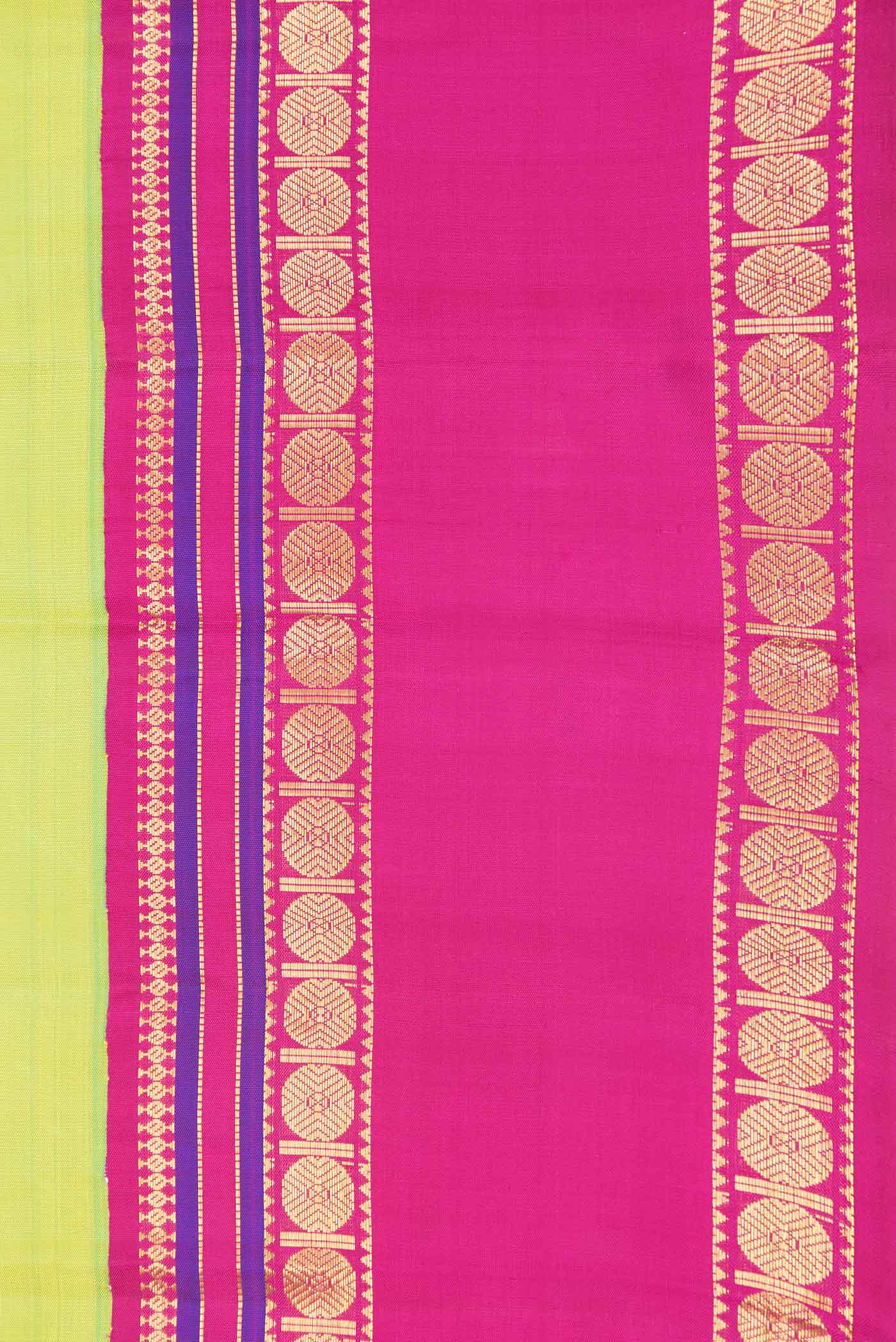 Border image of Green Dual Tone Kanchipuram Saree with Plain Body and Zari Border