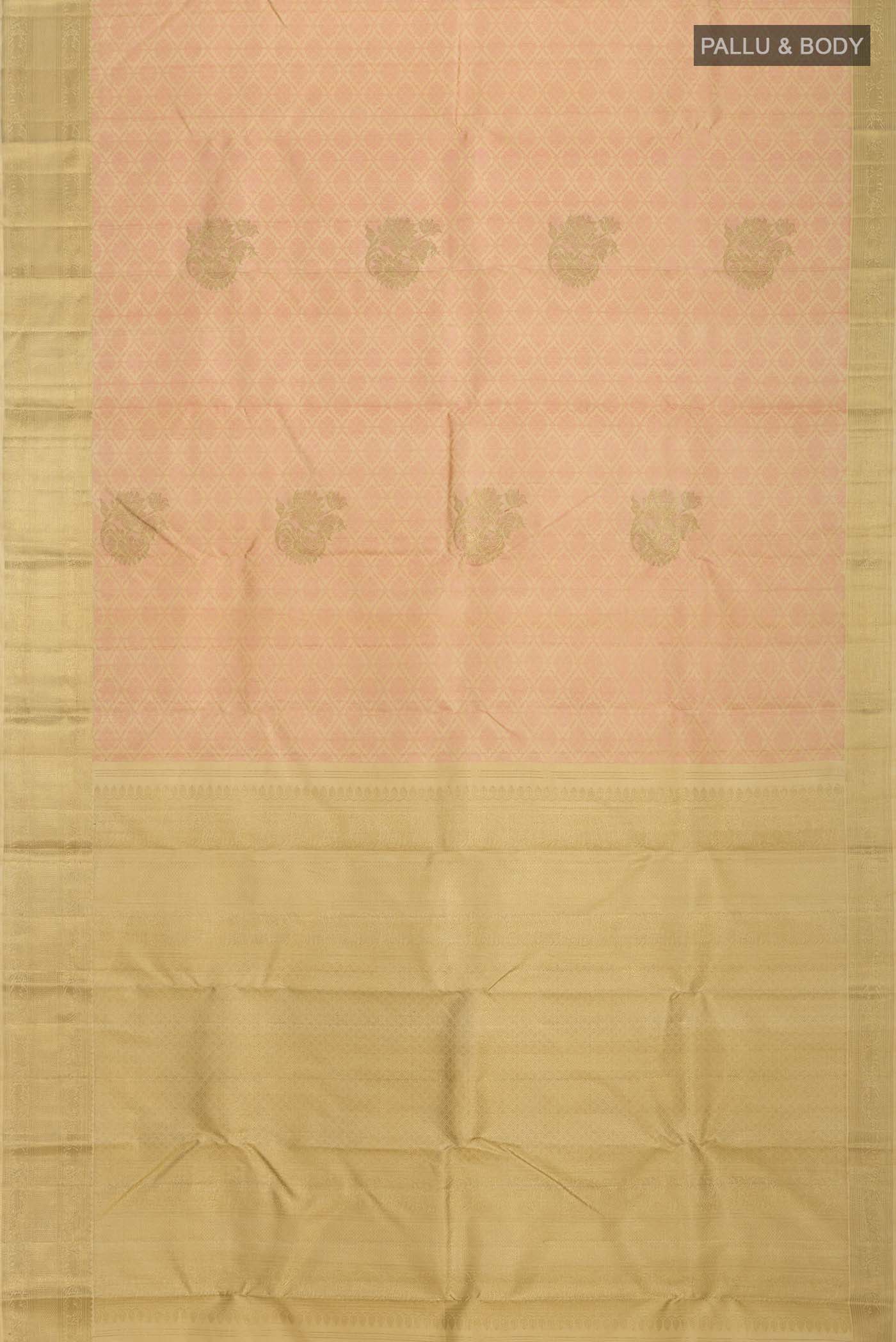 pallu body
