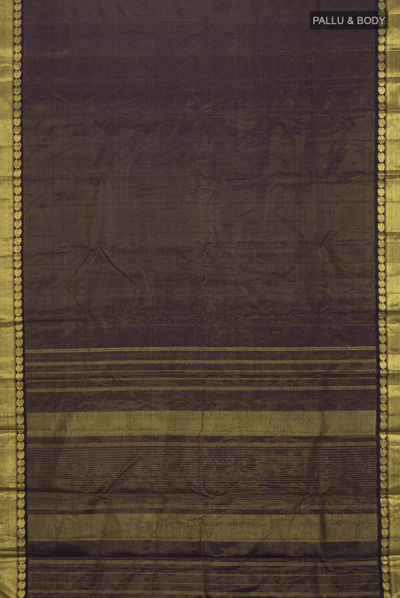 pallu body