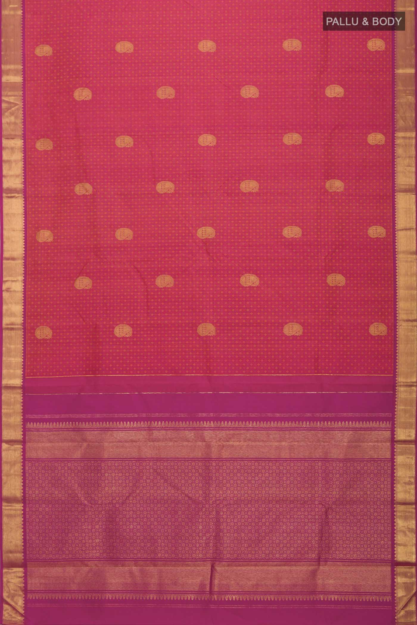 pallu body