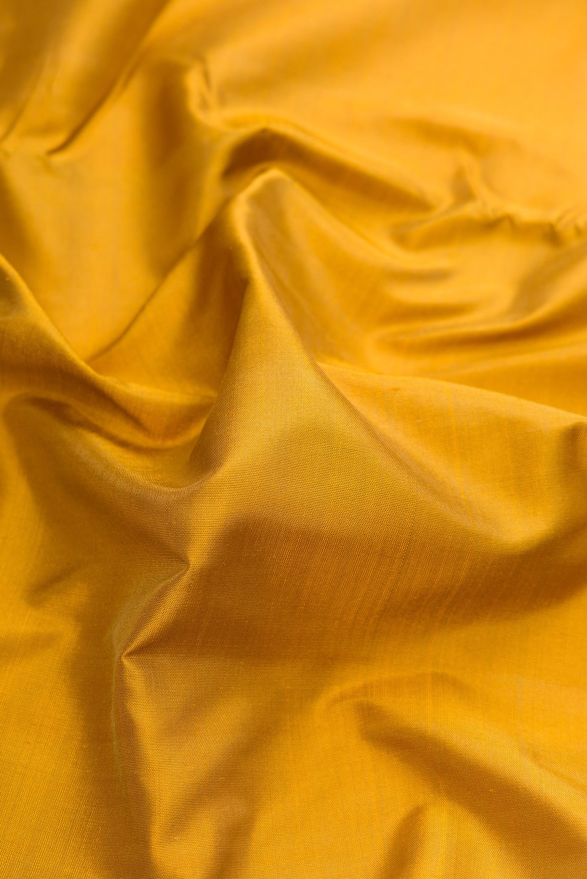 Close up of Mehandi Green Dual Tone Kanjivaram Silk Nine Yards Saree with Plain Body and Zari Border.  displaying folds
