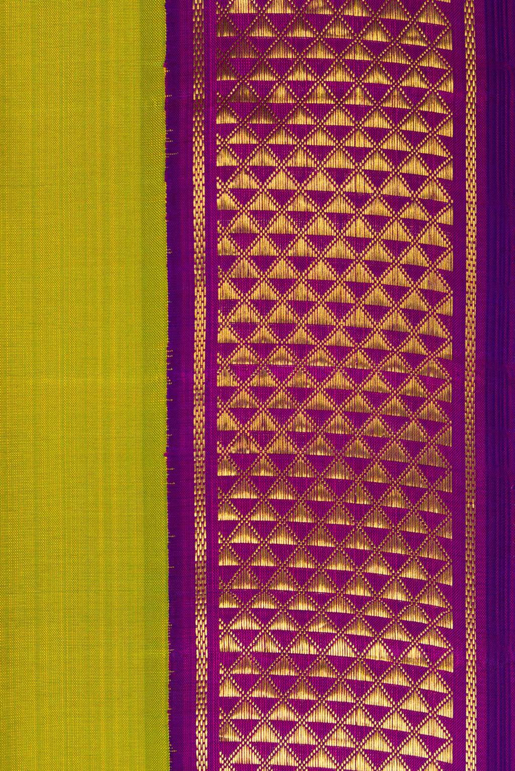 Border image of Pure Silk Pure Zari Parrot Green Dual Tone Kanjivaram Nine Yards Saree with Plain Body and Zari Border. 