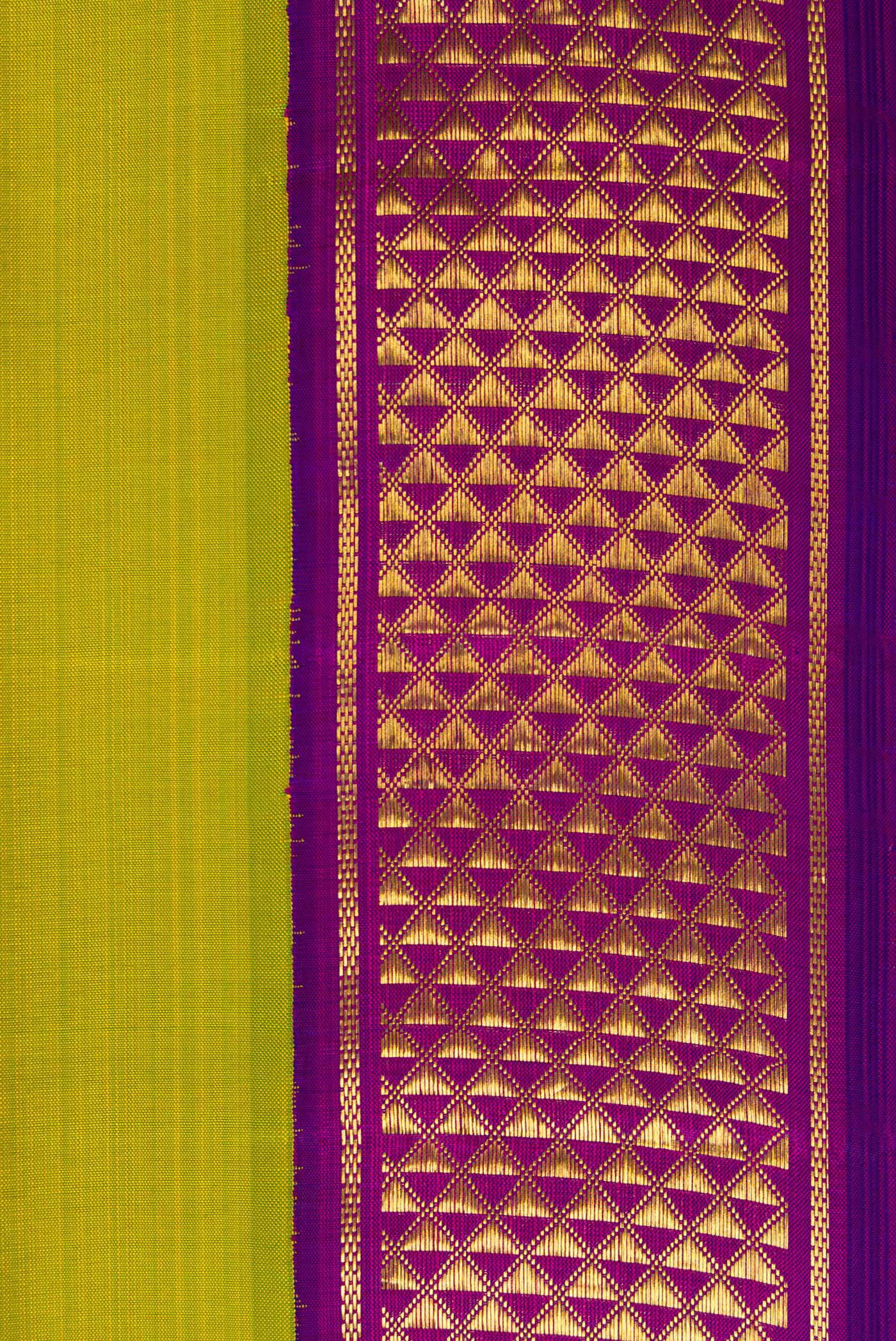 Border image of Pure Silk Pure Zari Parrot Green Dual Tone Kanjivaram Nine Yards Saree with Plain Body and Zari Border. 