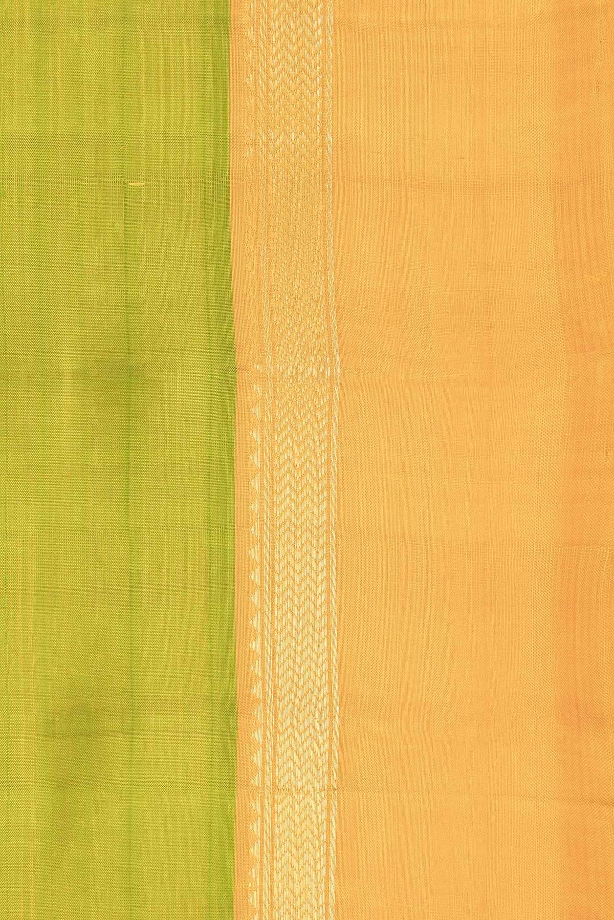 Border image of Parrot Green Dual Tone Kanchipuram Saree with Plain Body and Zari Border