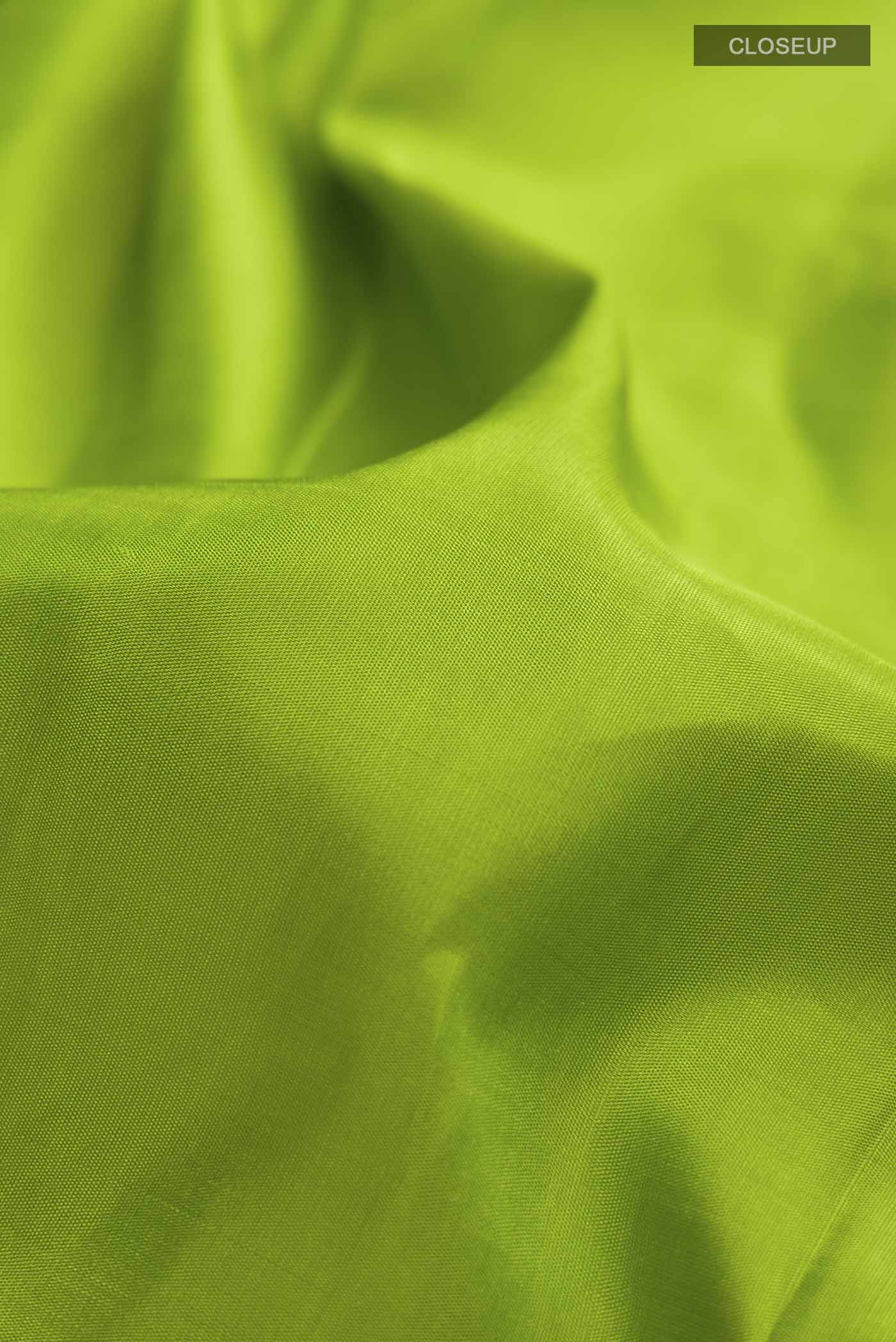Close up of Green Kanchipuram Silk Saree with Plain Body and Thread Border displaying folds
