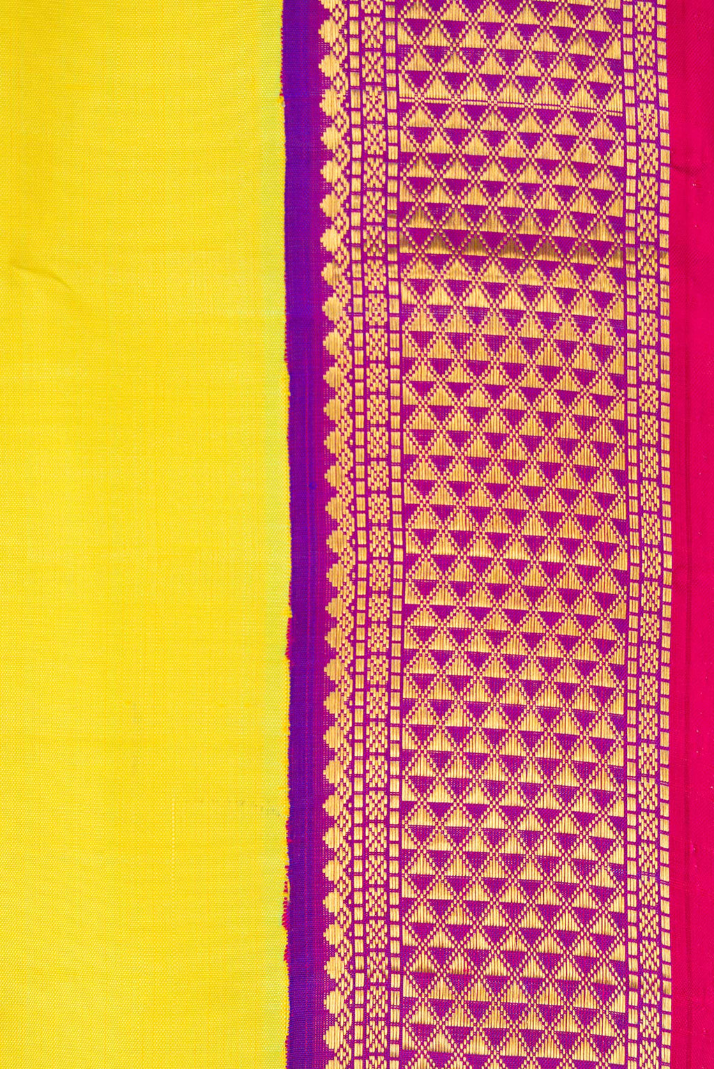Border image of Pure Silk Pure Zari Parrot Green Dual Tone Kanchipuram Nine Yards Saree with Plain Body and Ganga Jamuna Border. 