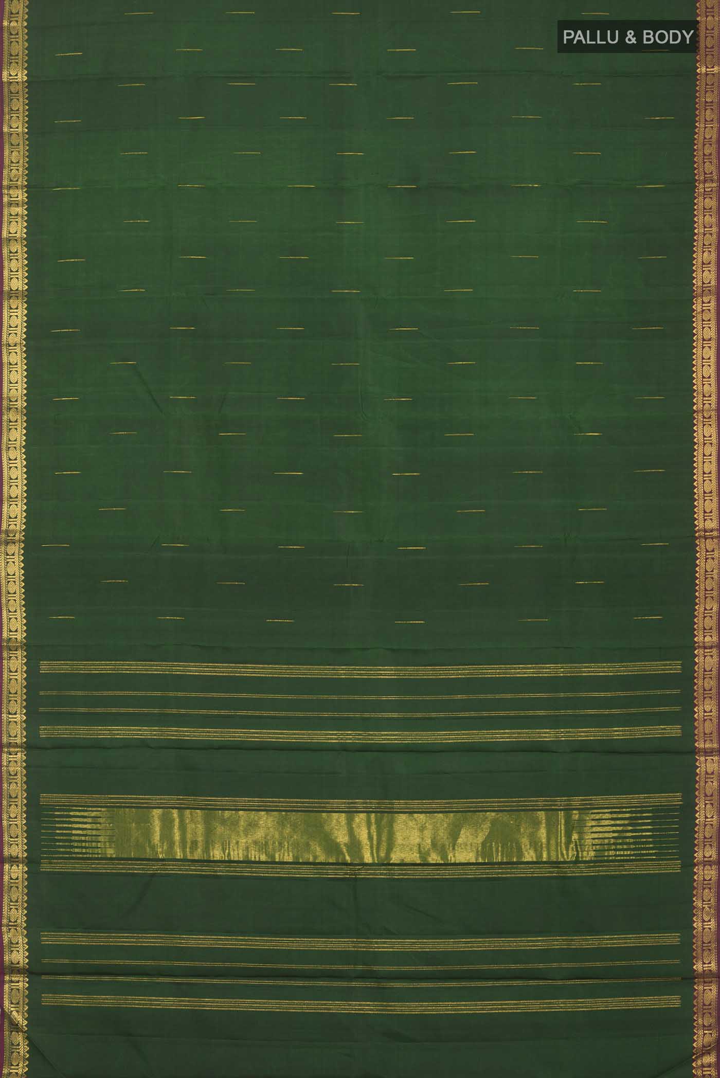 pallu body