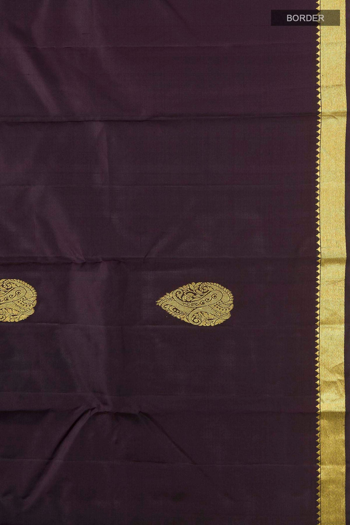 Border image of Multi Color Kanchipuram Silk Saree with Half And Half on the body and Zari Border