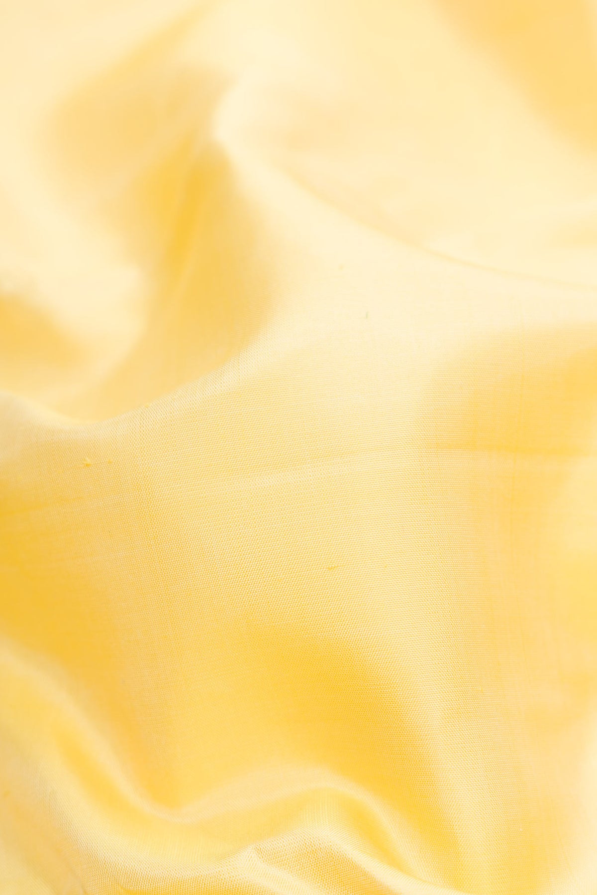 Close up of Sandal Dual Tone Kanjivaram Silk Saree with Plain Body and Zari Border.  displaying folds