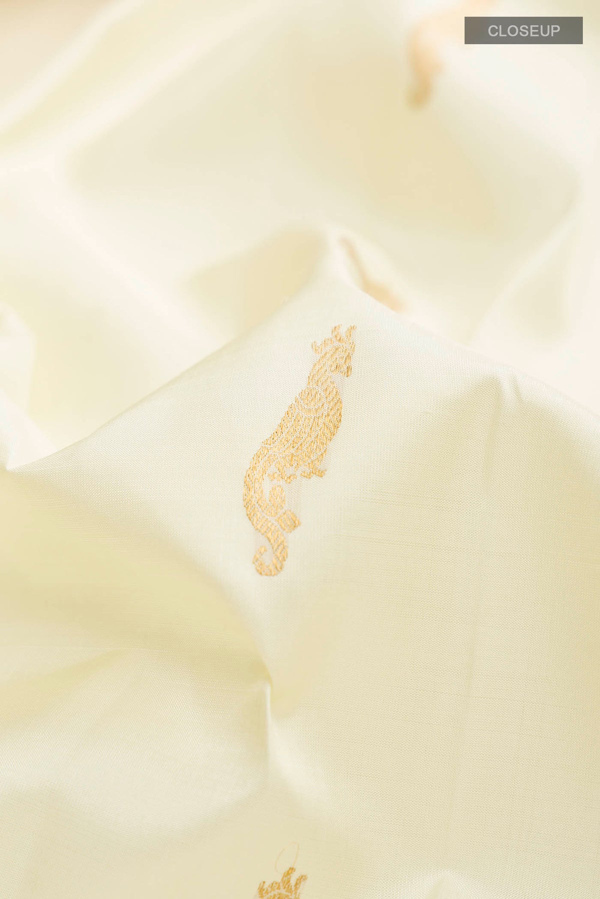 Close up of Cream Kanchipuram Silk Saree with Zari Butta on the body and Zari Border displaying folds