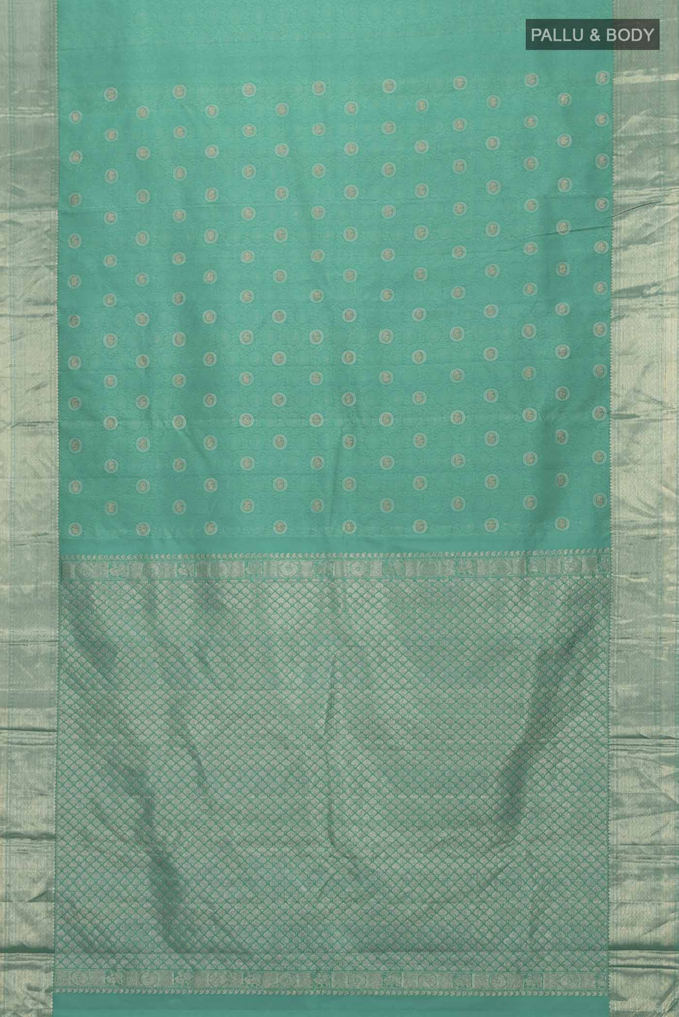 pallu body