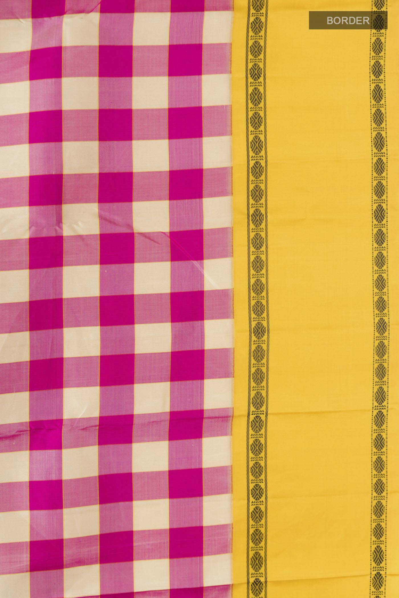 Border image of Multi Color Kanchipuram Silk Saree with Checked design on the body and Thread Border
