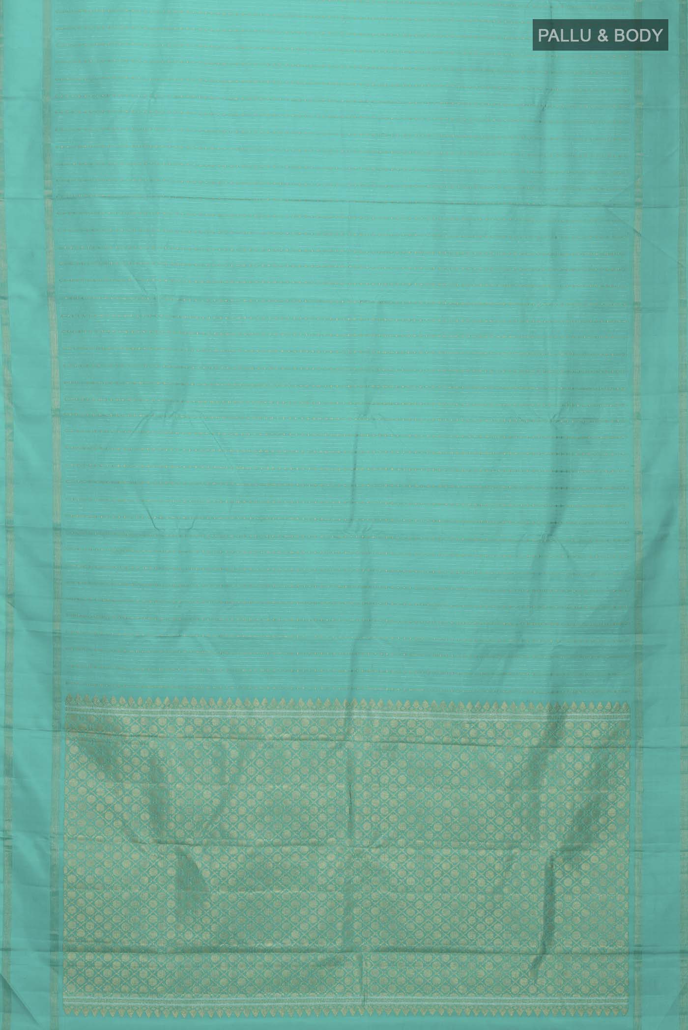 pallu body