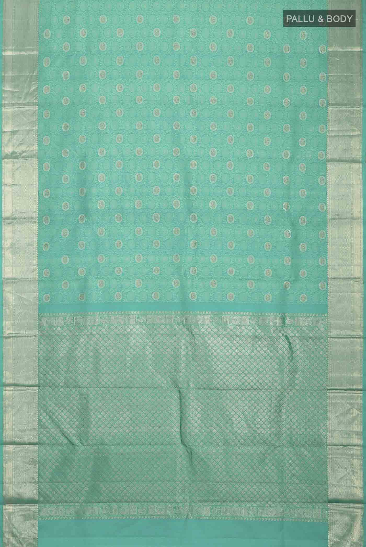 pallu body