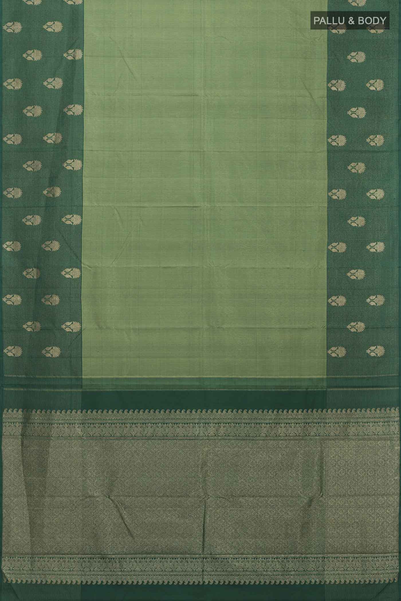 pallu body