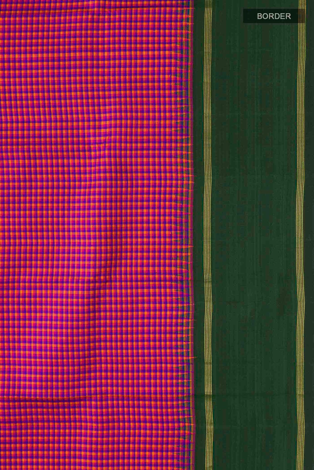 Border image of Multi Color Kanchipuram Silk Saree with Checked design on the body and Zari Border