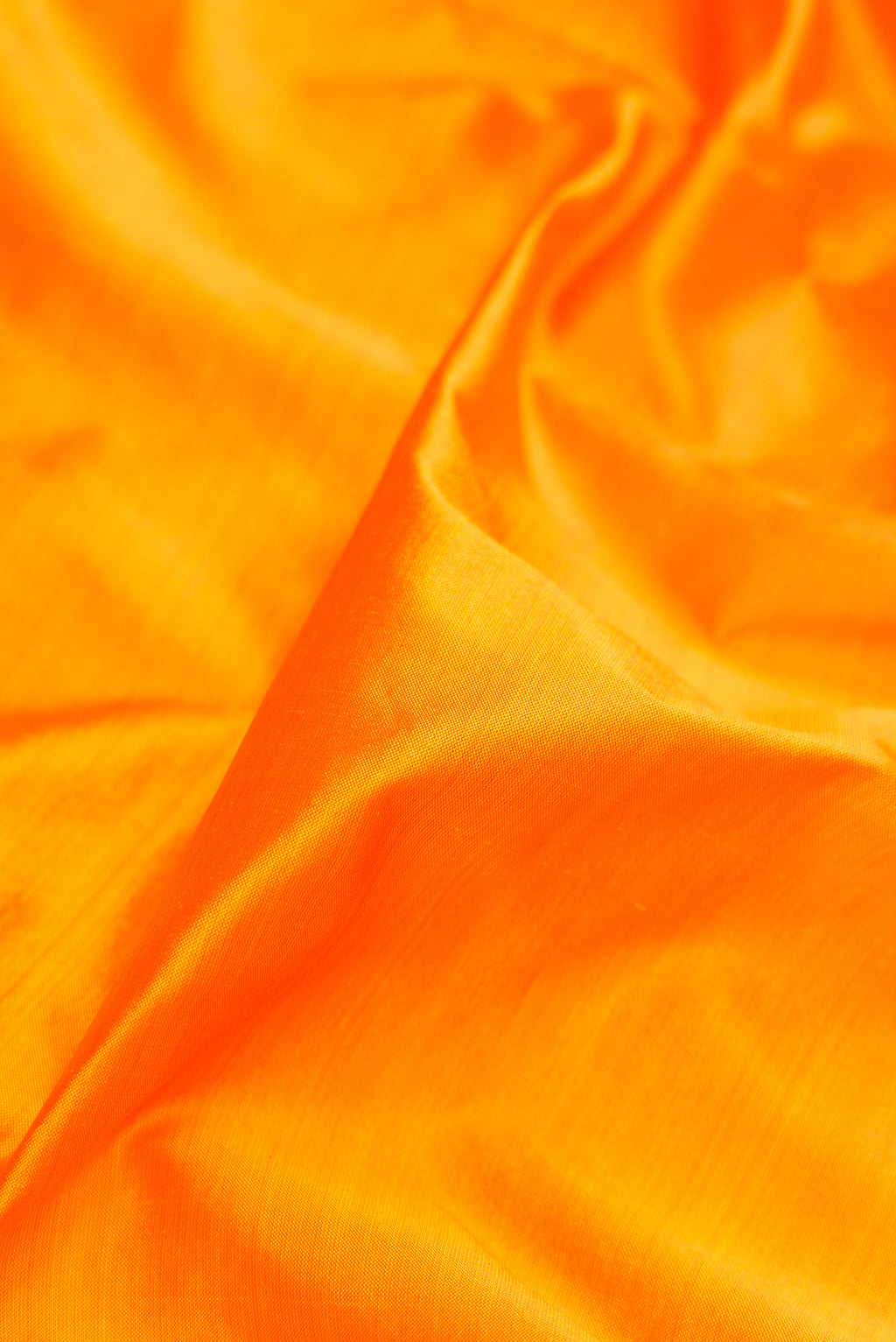 Close up of Mustard Kanjivaram Silk Nine Yards Saree with Plain Body and Zari Border.  displaying folds