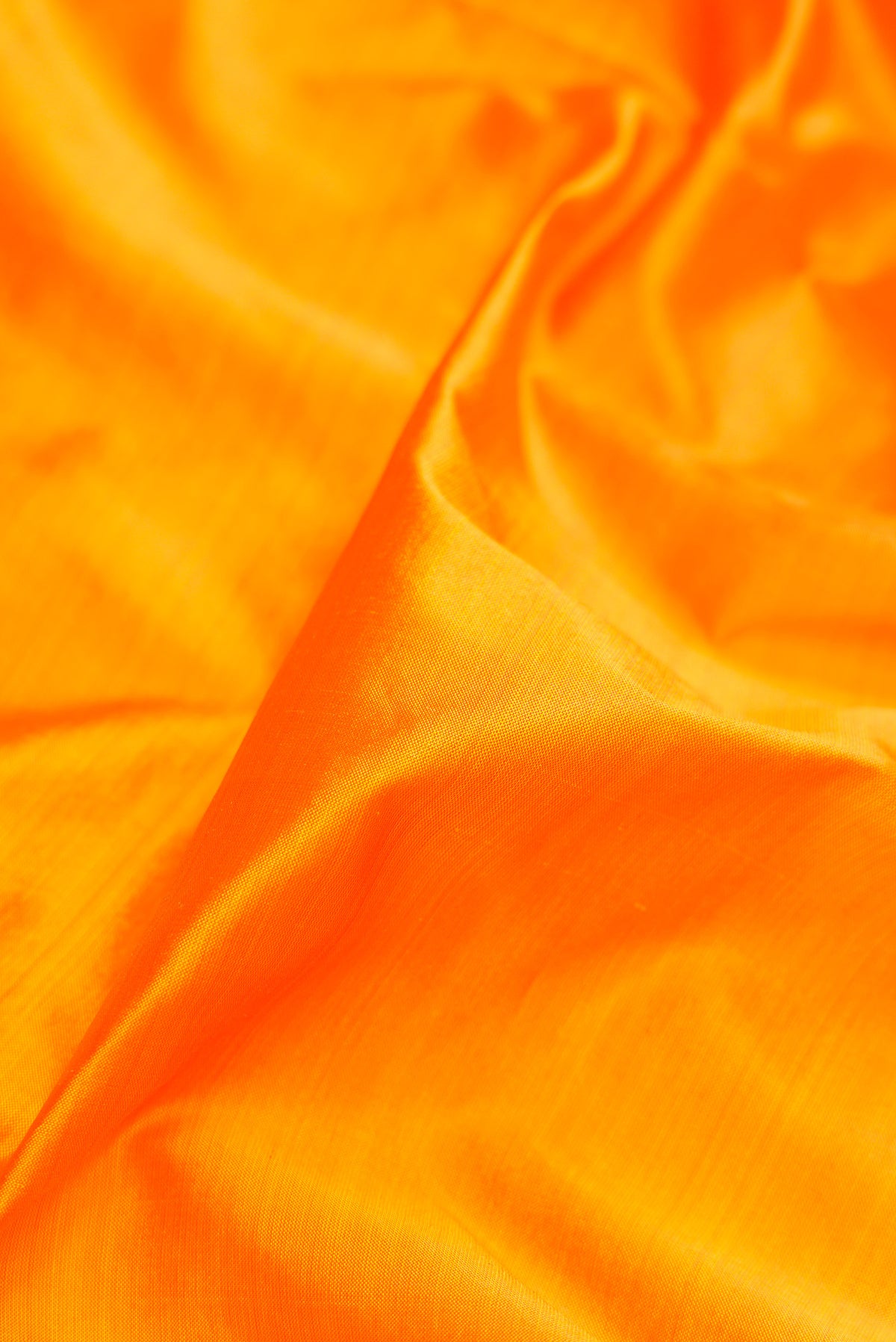Close up of Mustard Kanjivaram Silk Nine Yards Saree with Plain Body and Zari Border.  displaying folds