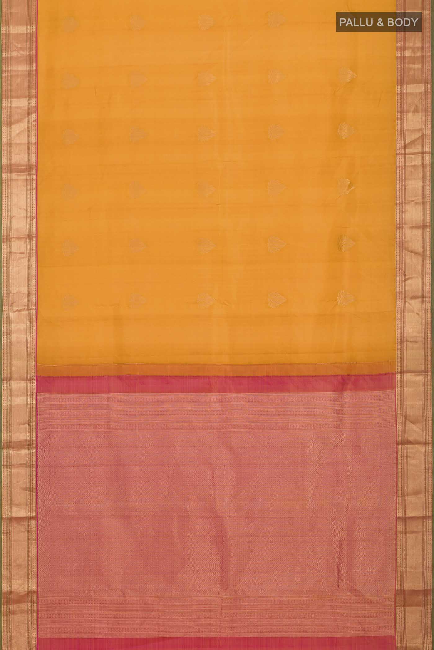 pallu body
