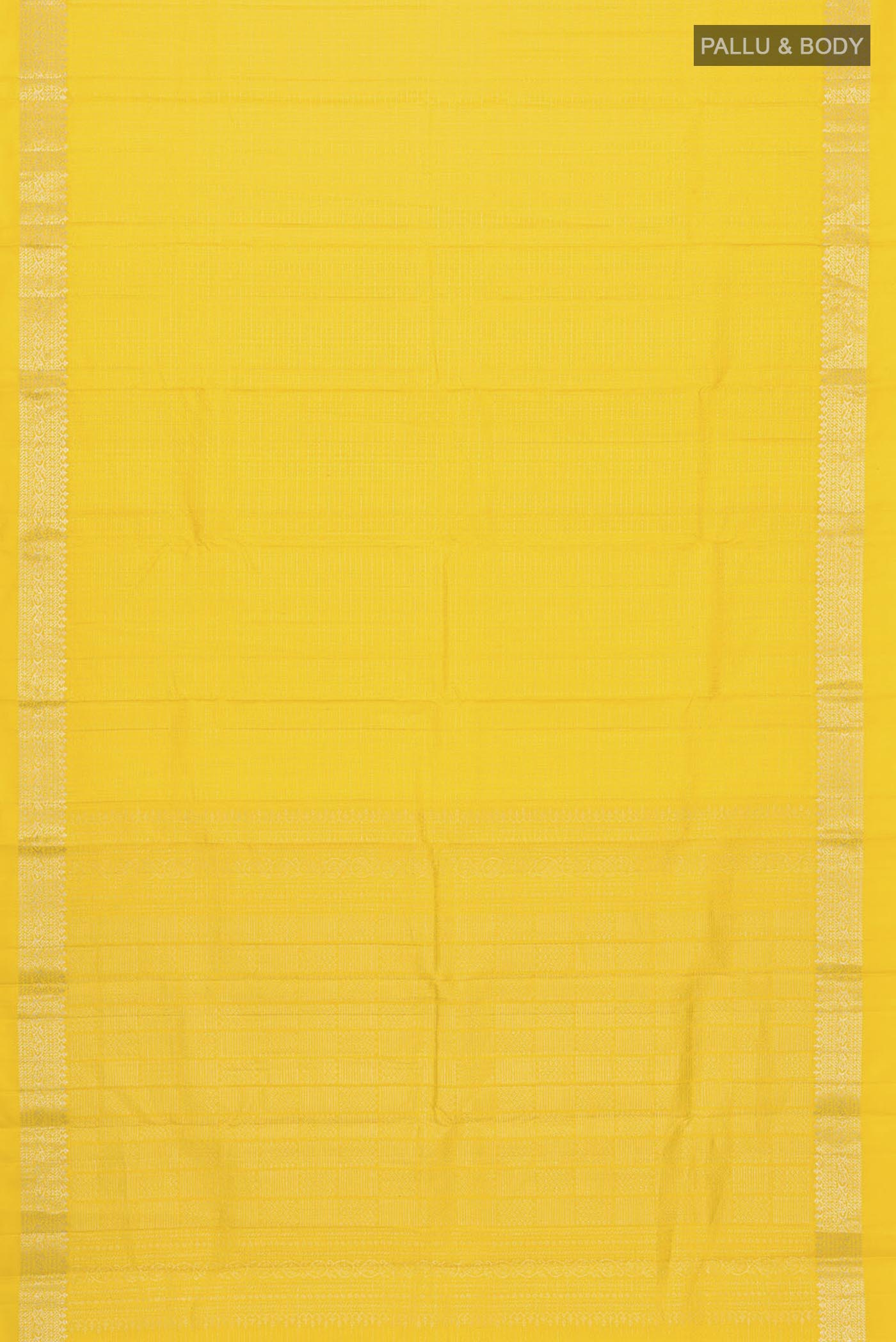 pallu body