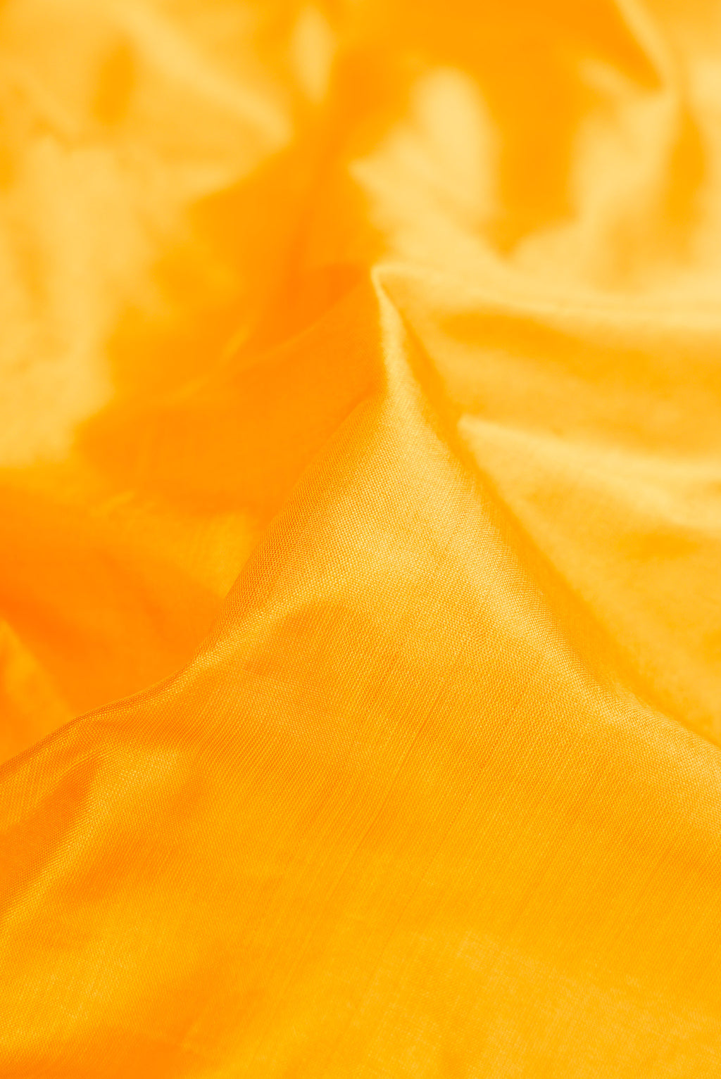 Close up of Yellow Dual Tone Kanchipuram Silk Saree with Plain Body and Thread Border.  displaying folds
