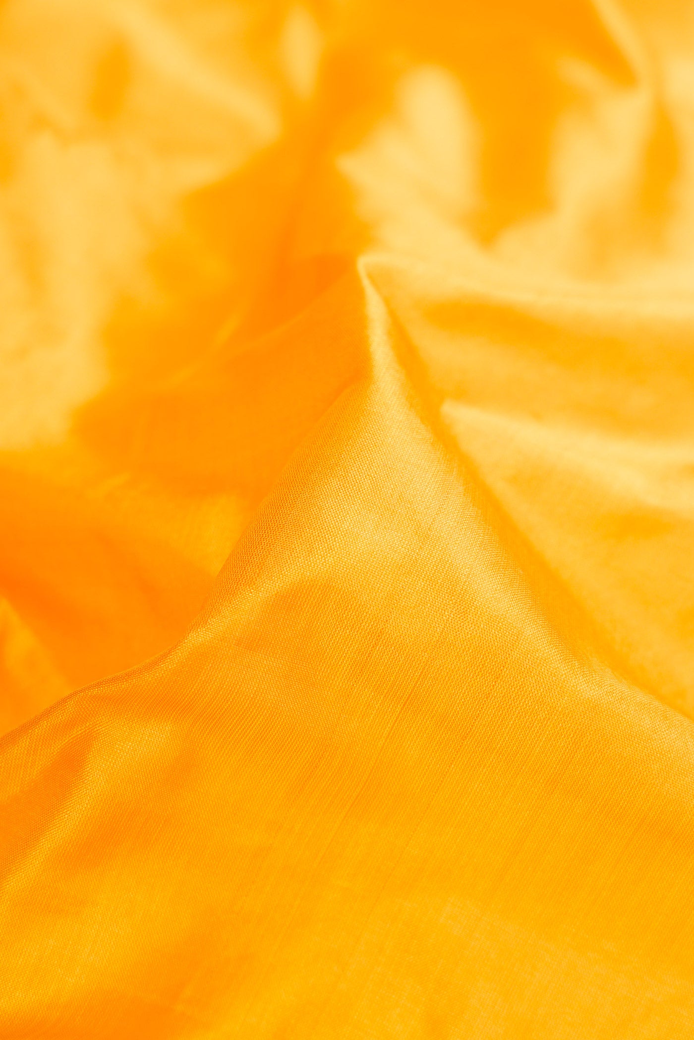 Close up of Yellow Dual Tone Kanchipuram Silk Saree with Plain Body and Thread Border.  displaying folds