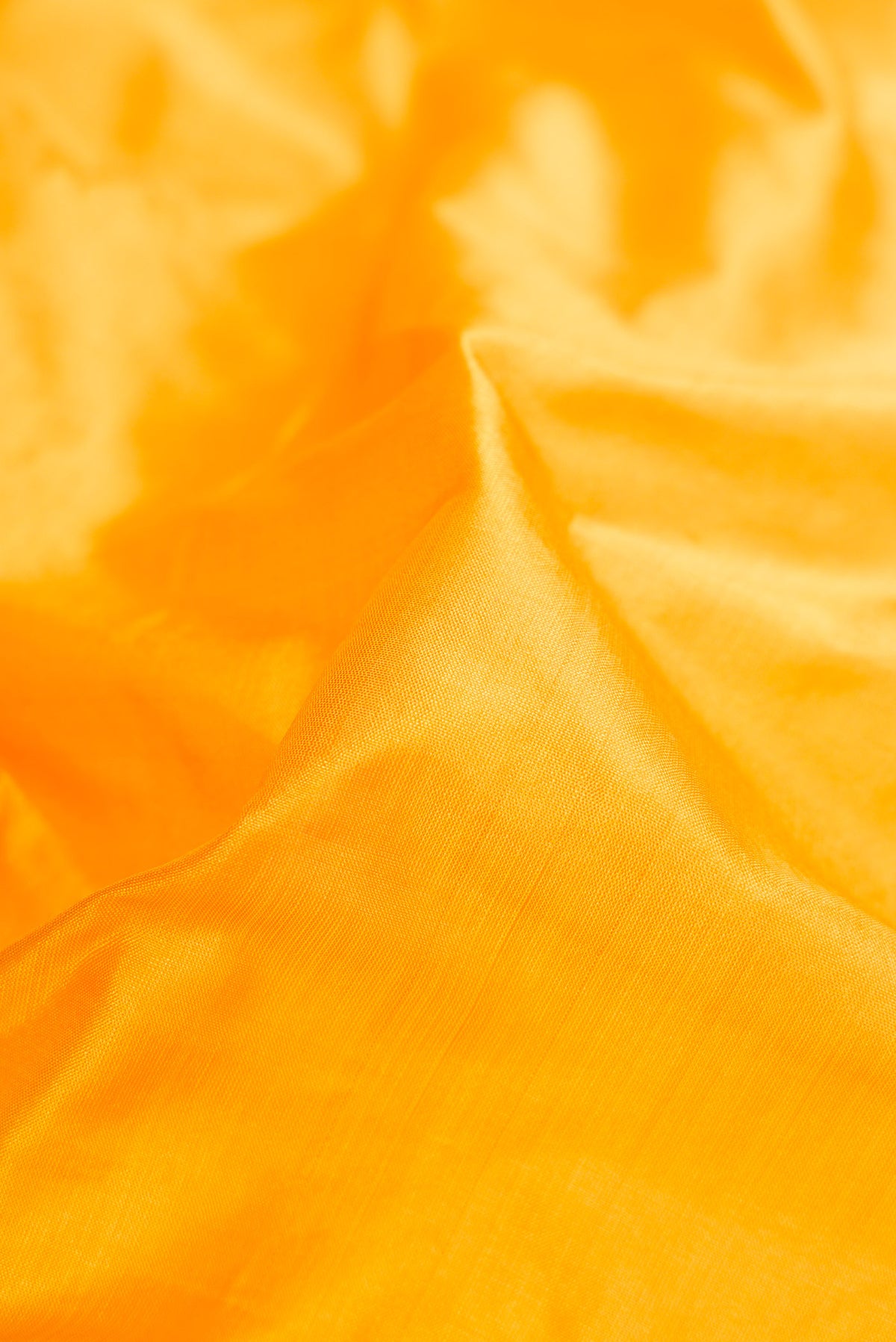 Close up of Yellow Dual Tone Kanchipuram Silk Saree with Plain Body and Thread Border.  displaying folds