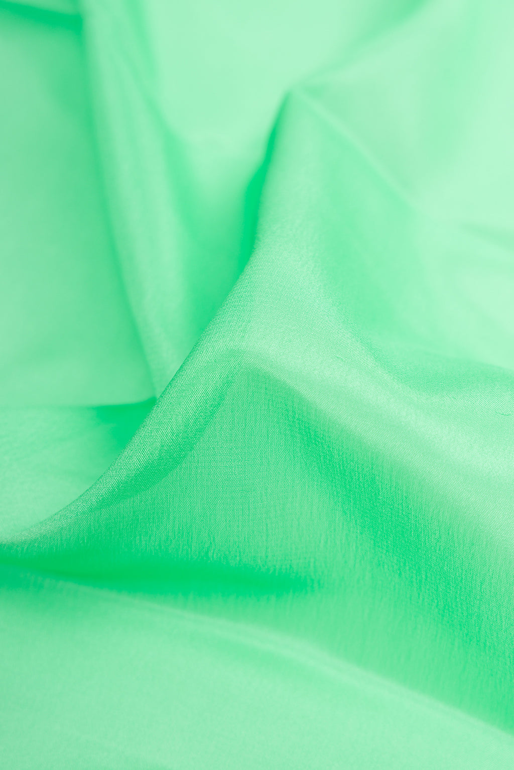 Close up of Green Mysore Crepe Saree with Plain Body and Zari Border.  displaying folds