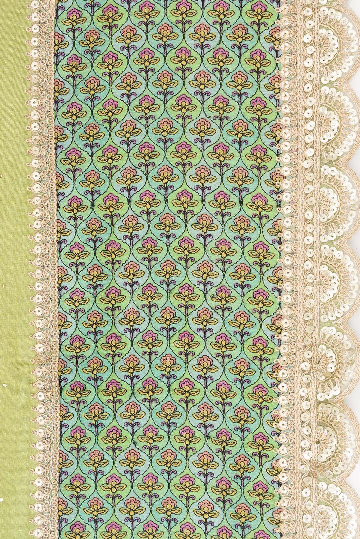 Border image of Pista Green Dual Tone Tussar Silk Saree with Embroidery on the body and Fancy Border. 